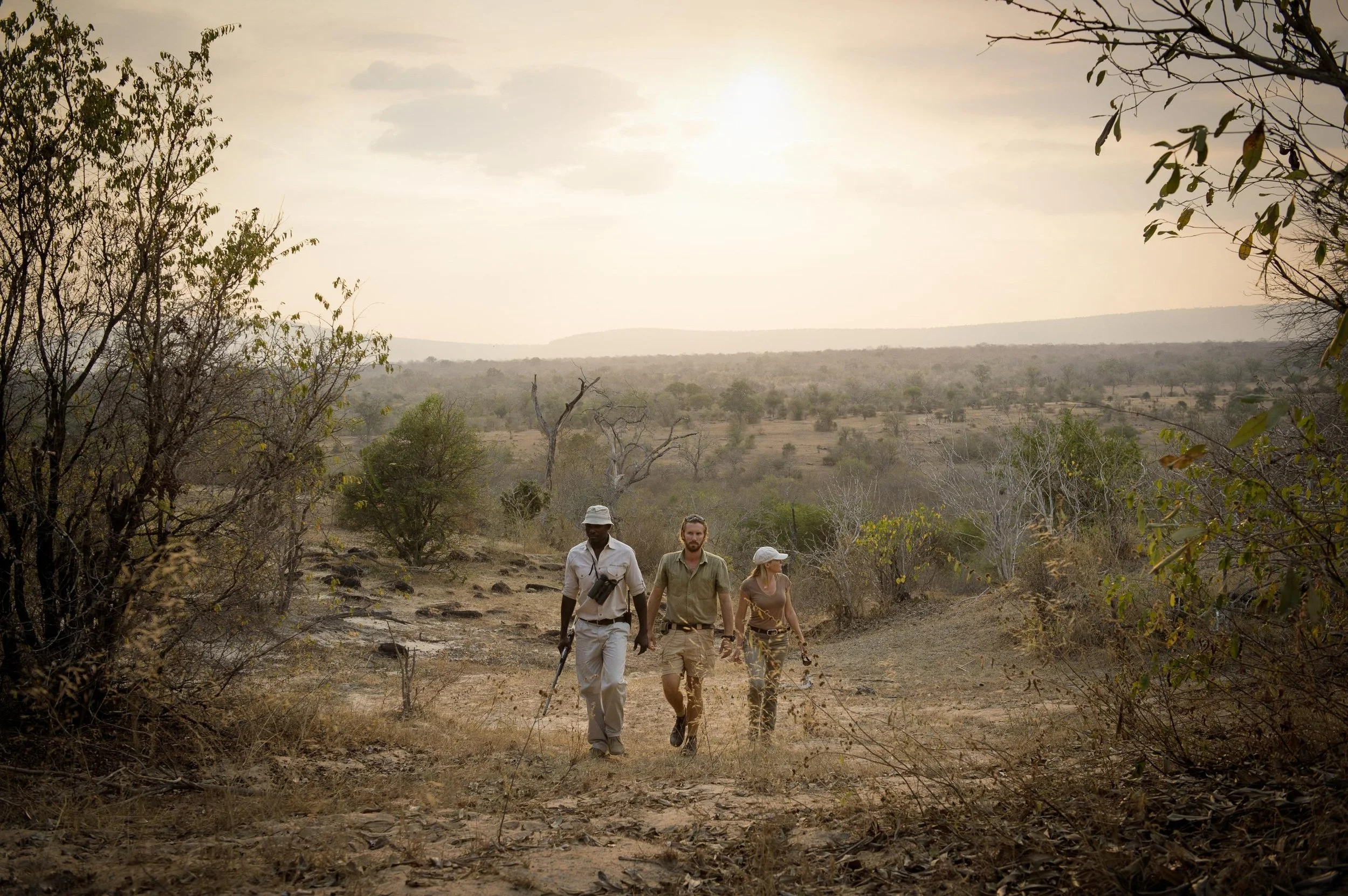 Voyageurs qui observent un groupe de zèbre au loin dans le parc national de Tarangire en Tanzanie.