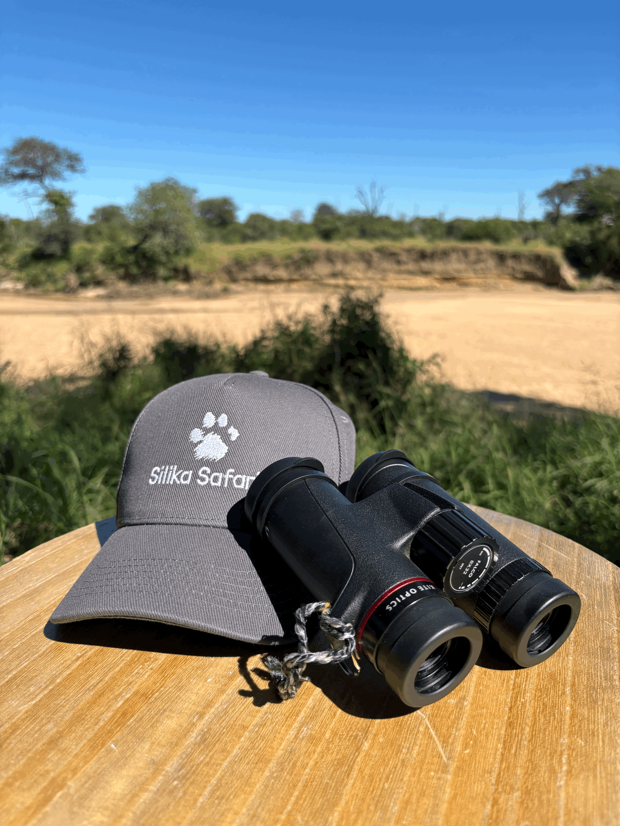 Notre vision du safari
