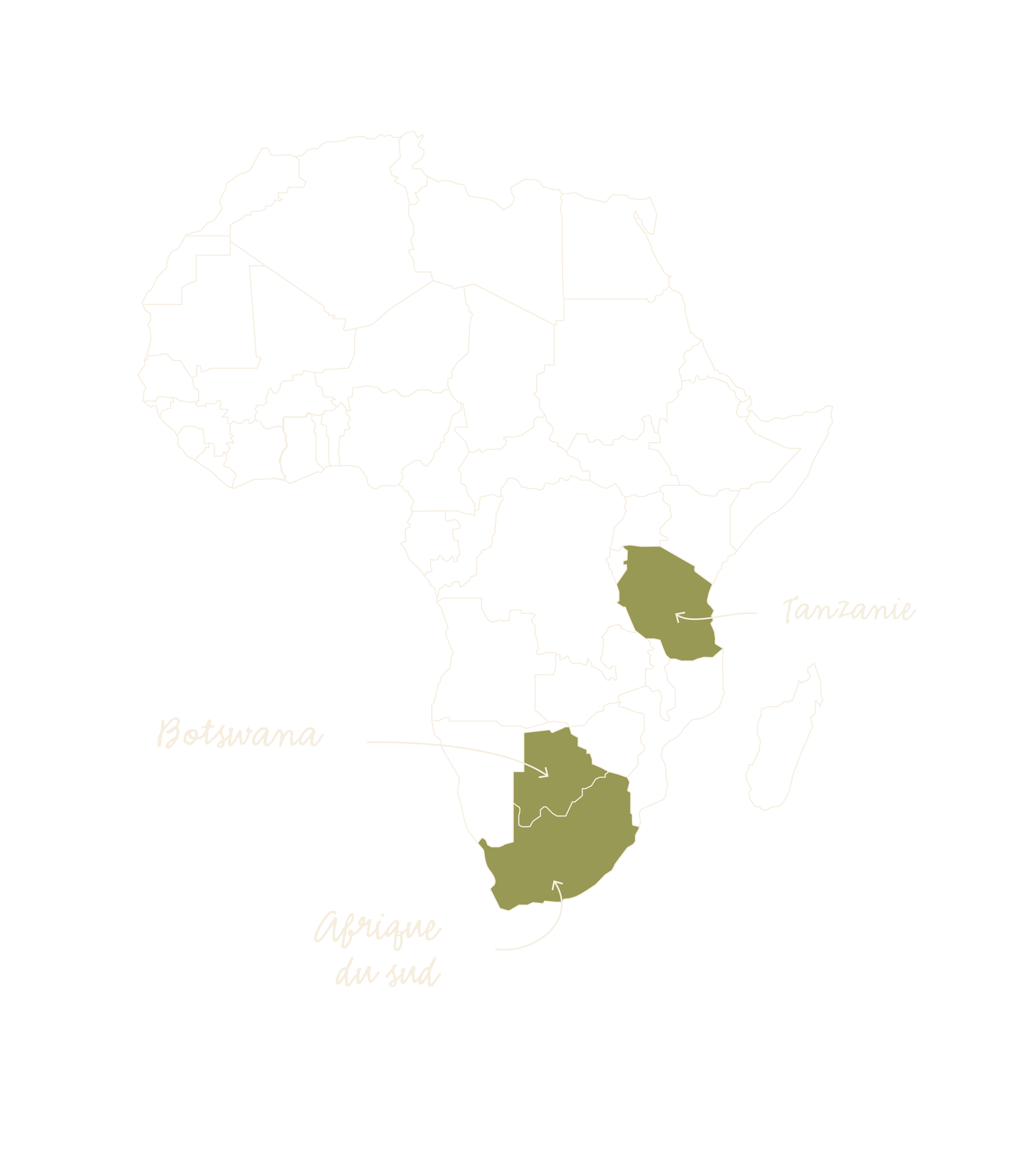 Carte de l'Afrique avec trois pays mis en évidence en vert : Tanzanie, Botswana, Afrique du Sud.
