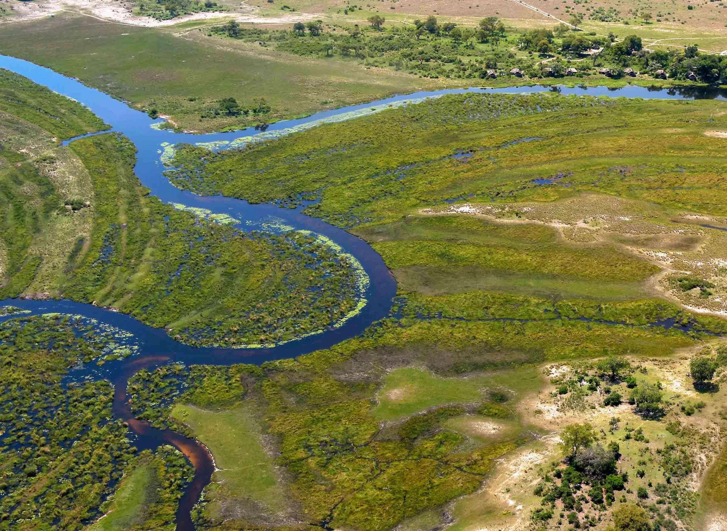 Photo aérienne du marais de Linyanti au Botswana