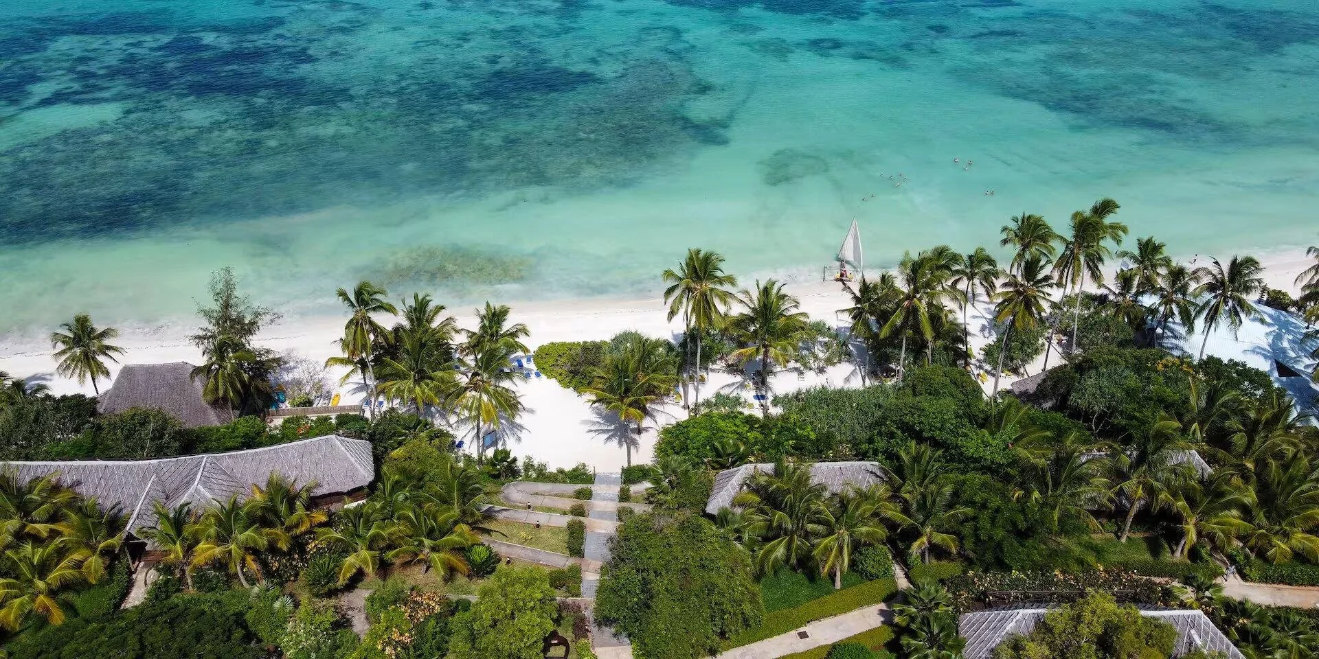 Plage tropicale de Zanzibar avec palmiers, cabanes en toit de chaume, et mer turquoise