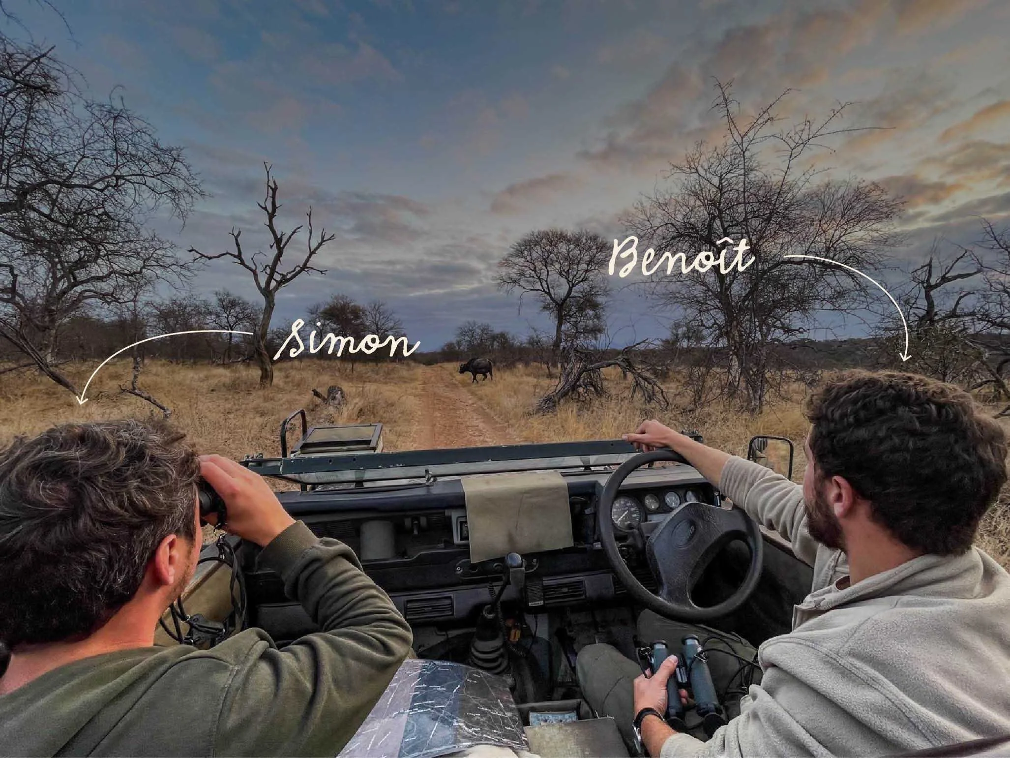 Deux hommes dans un véhicule de safari observant la savane avec des animaux sauvages, arbres dénudés au coucher du soleil.