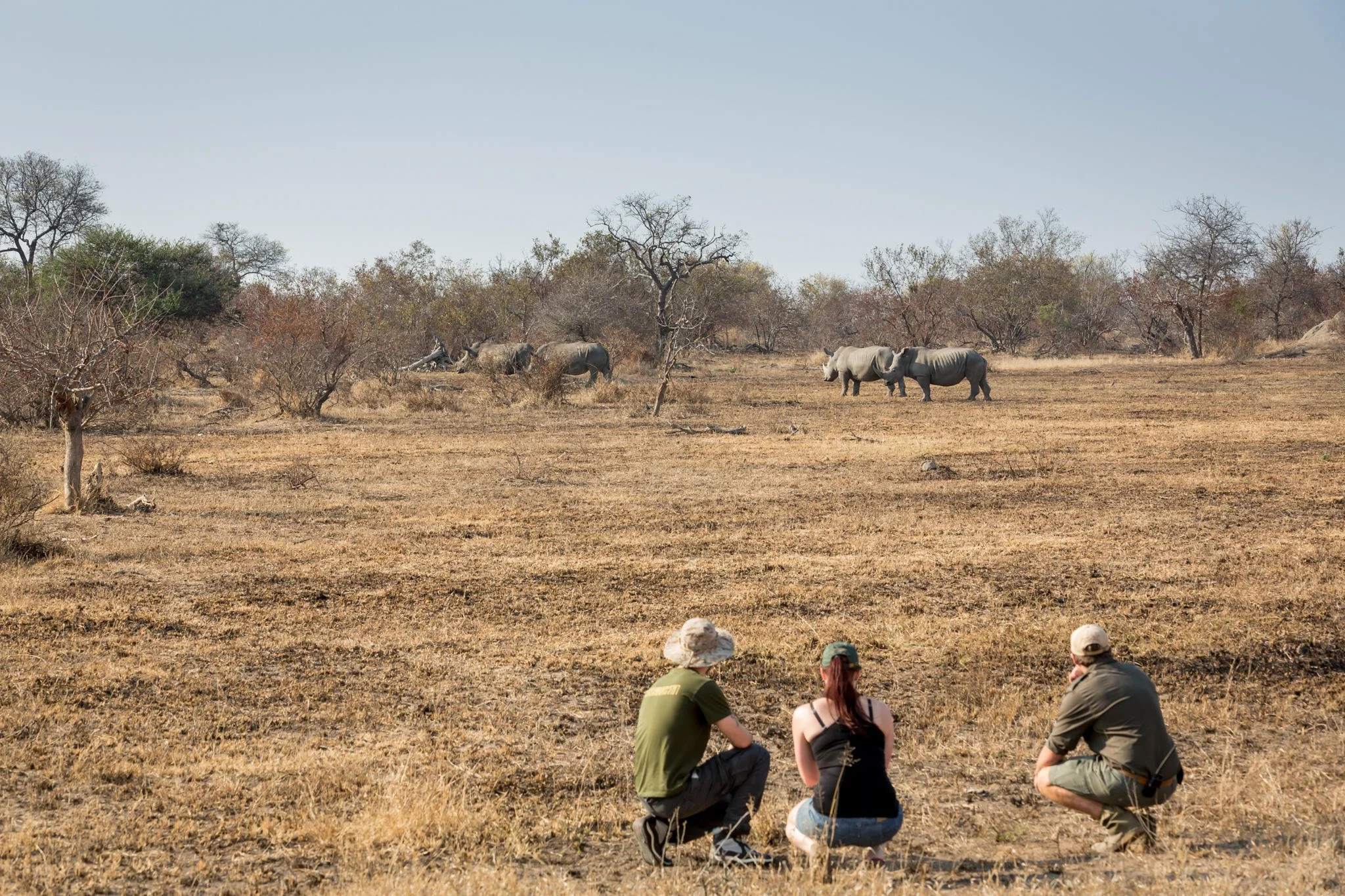 Trois touristes assis sur le sol de la savane africaine observant des rhinocéros au loin parmi des arbres secs et un ciel clair.