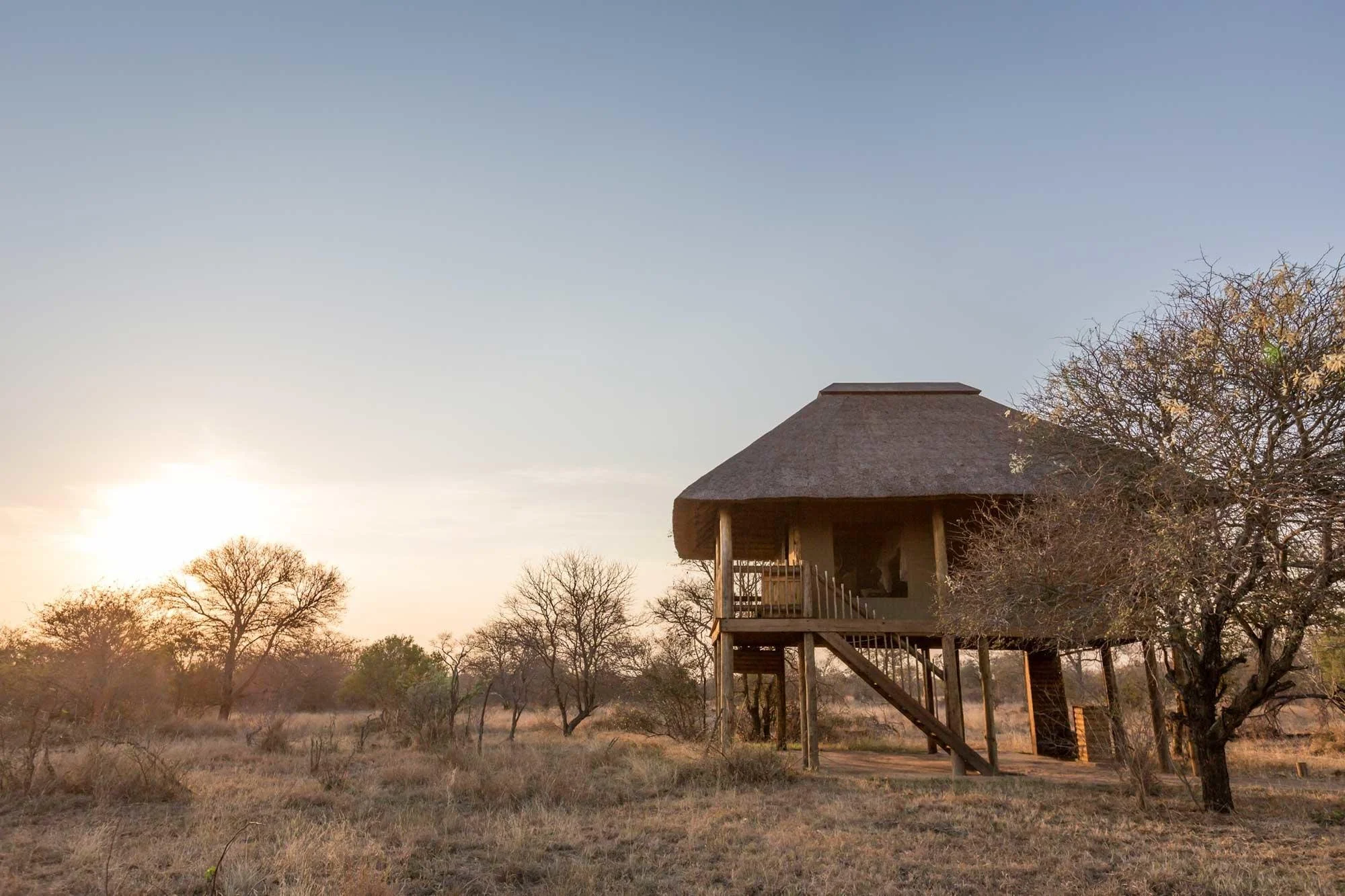 Une tente de style africain avec un toit en chaume, située dans une savane avec des arbres dépouillés, au coucher du soleil.