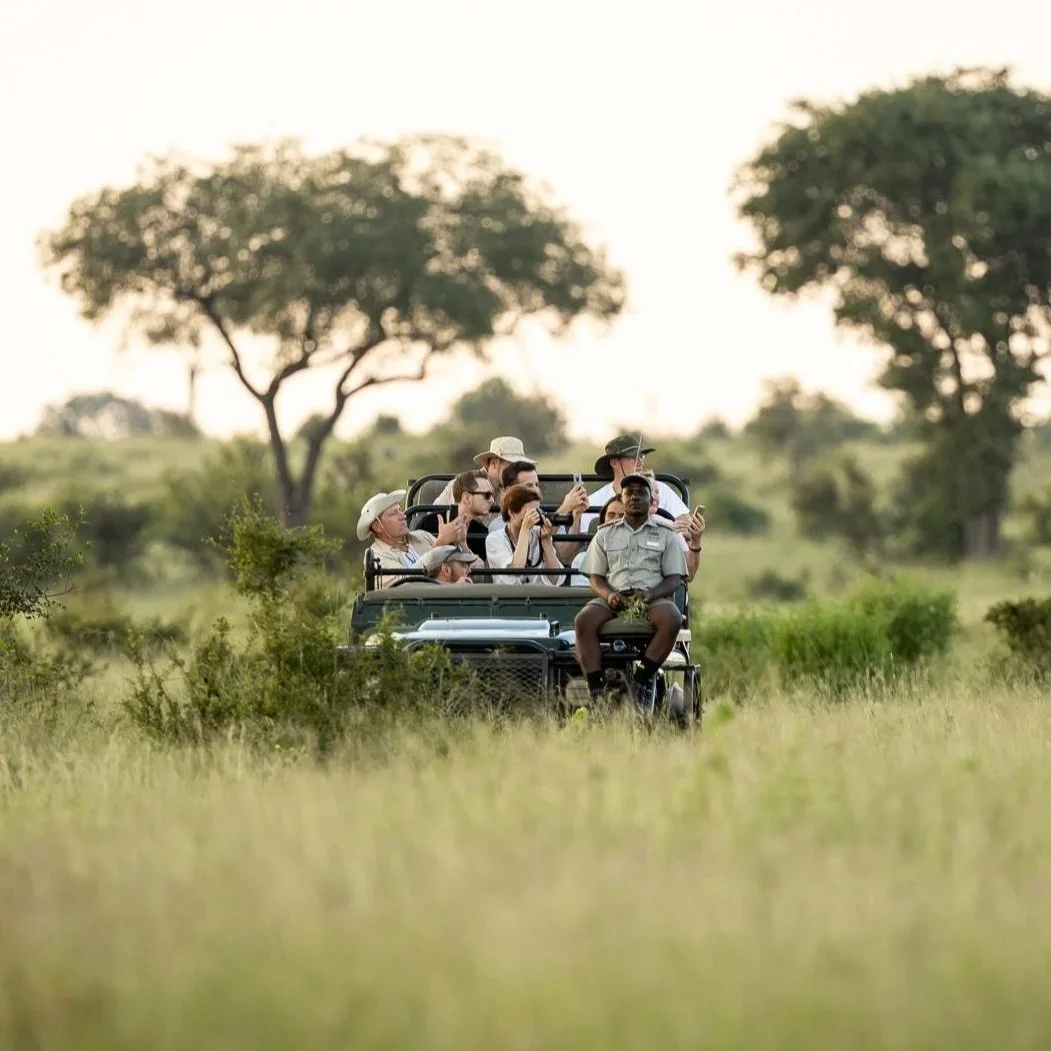 Groupe de touristes dans une jeep en safari, prenant des photos dans la nature, avec des arbres en arrière-plan.