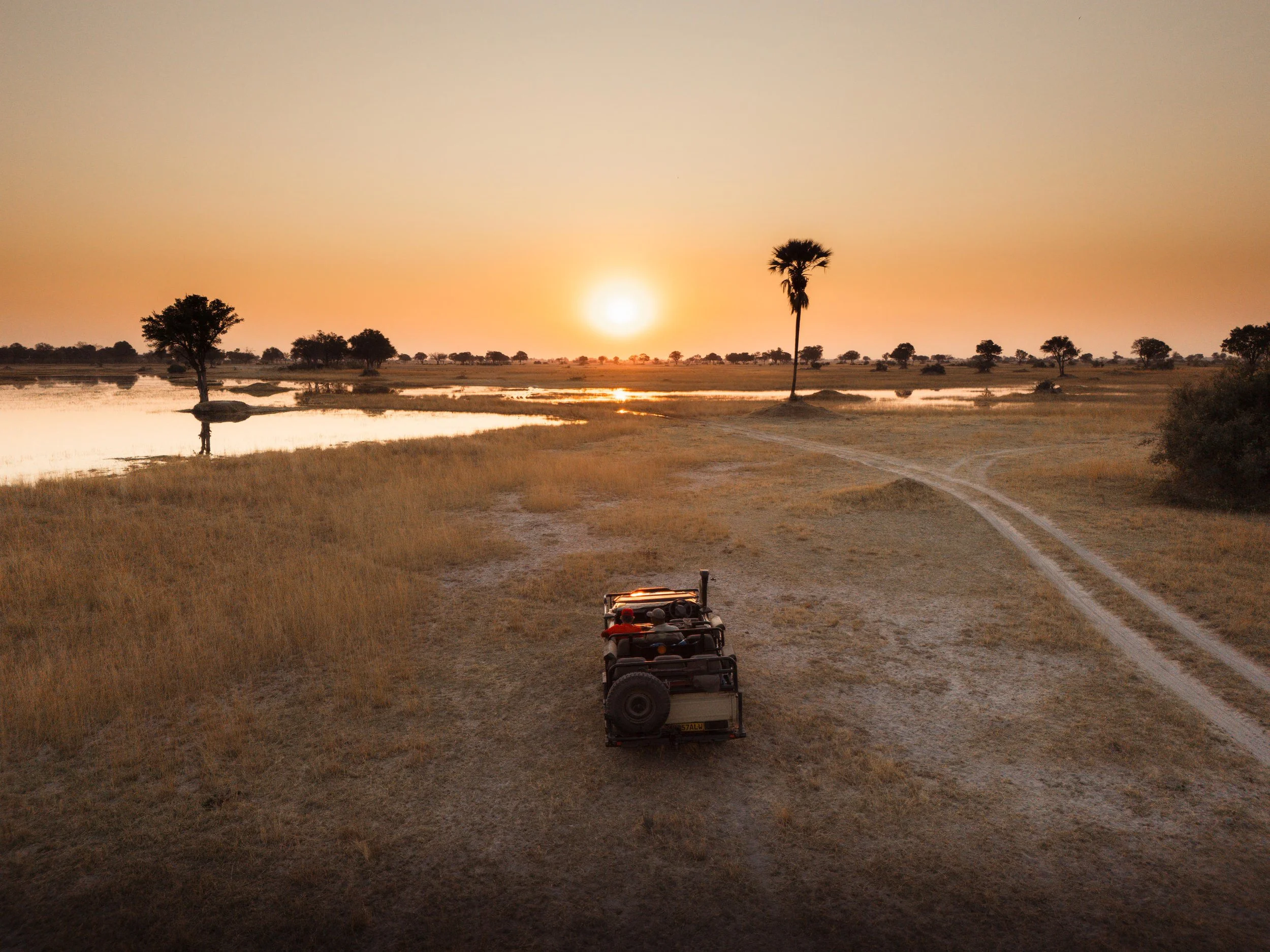 Safari dans le Delta de l'Okavango au Botswana