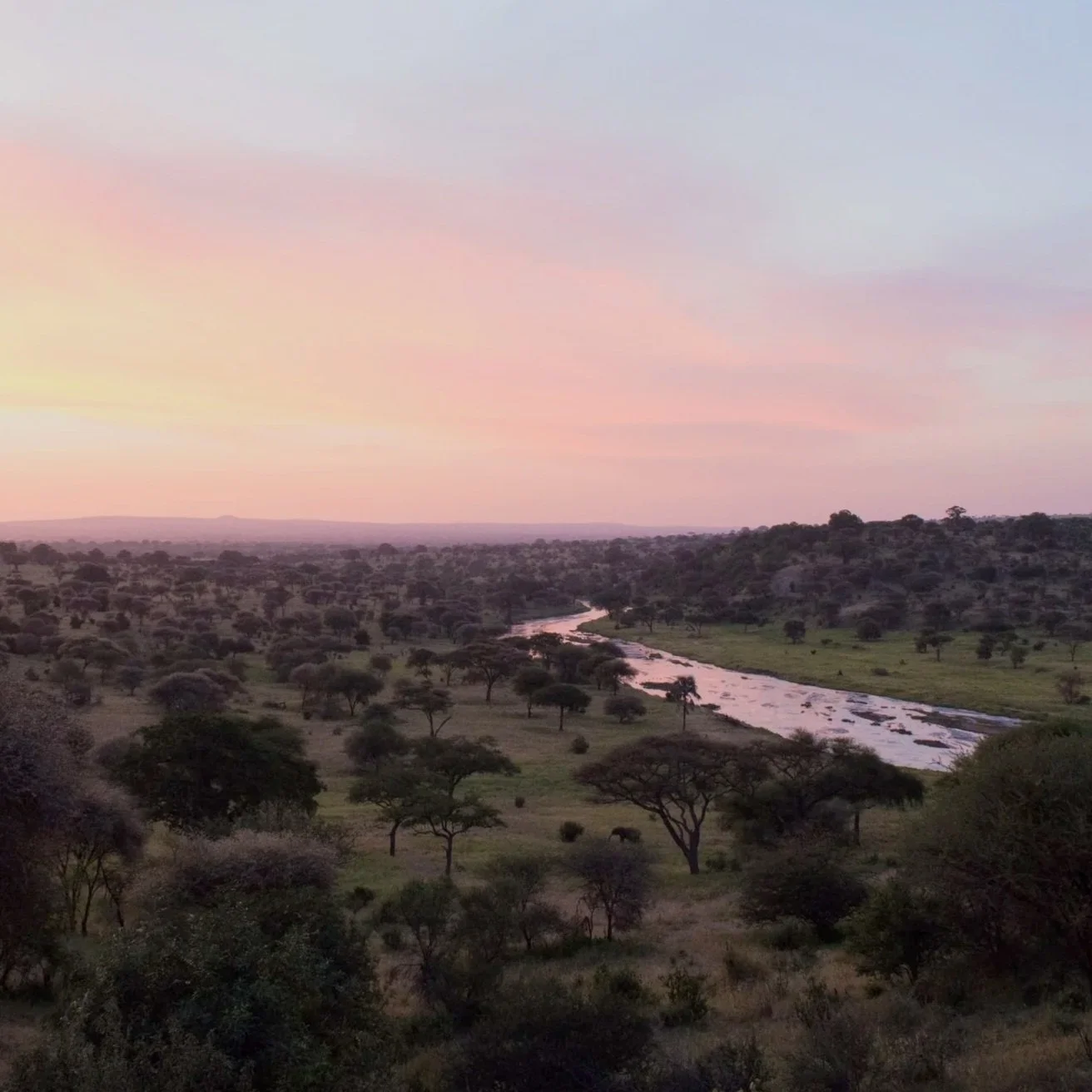 Paysage de savane avec des arbres, une rivière serpentant dans la vallée, sous un ciel pastel au coucher du soleil.