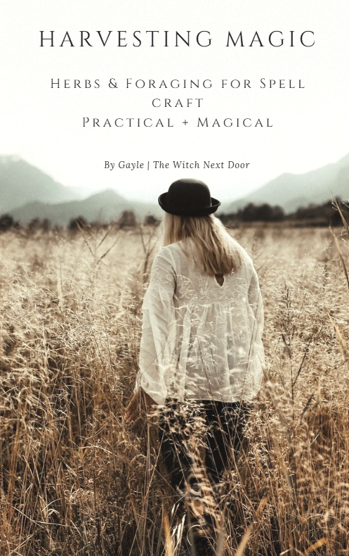 Harvesting Magic (eBook)