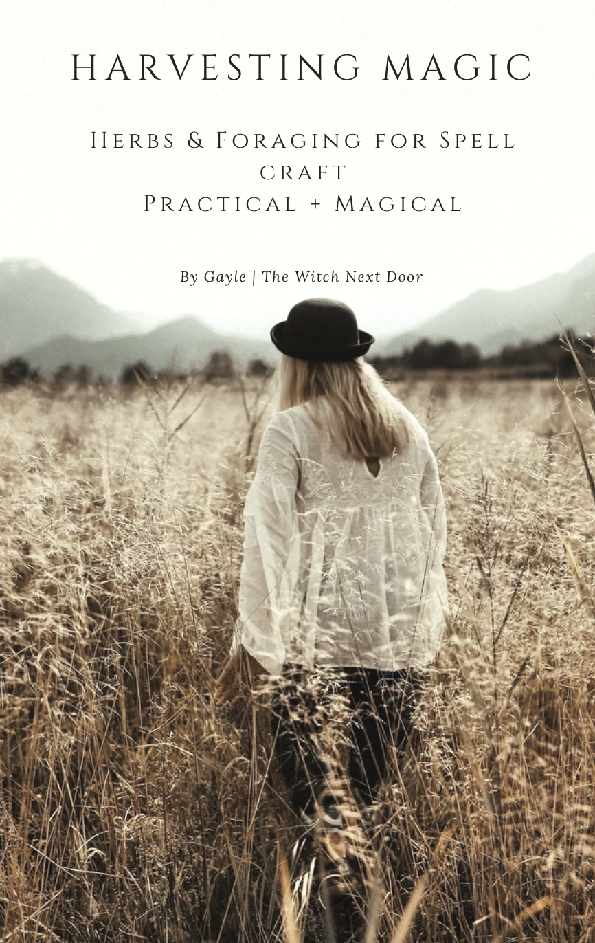 Image 21-03-2026 at 06.51.png