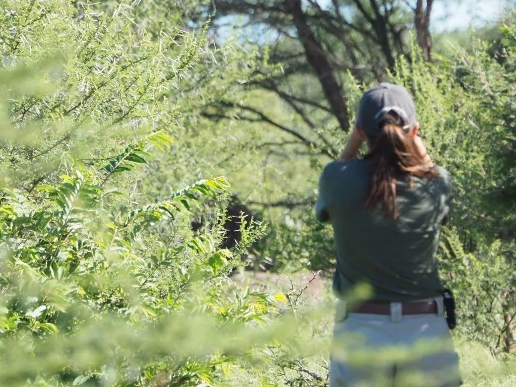 Rebecca searching for rhino