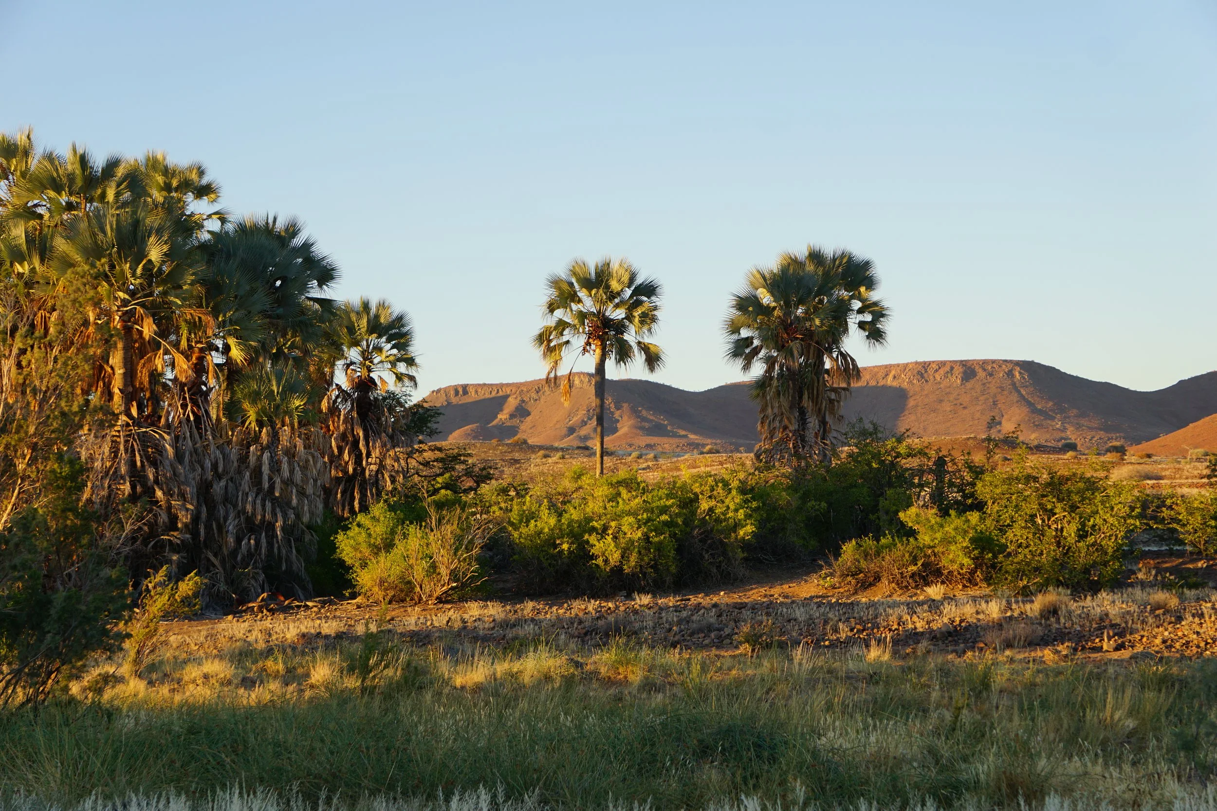 Palmwag, Namibia
