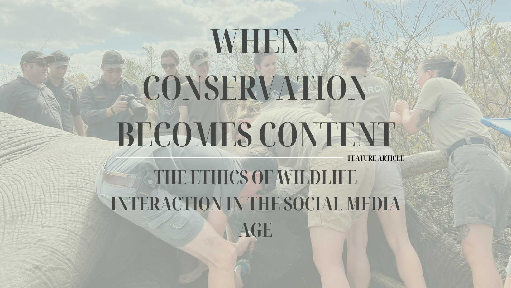 Feature article - When Conservation becomes Content