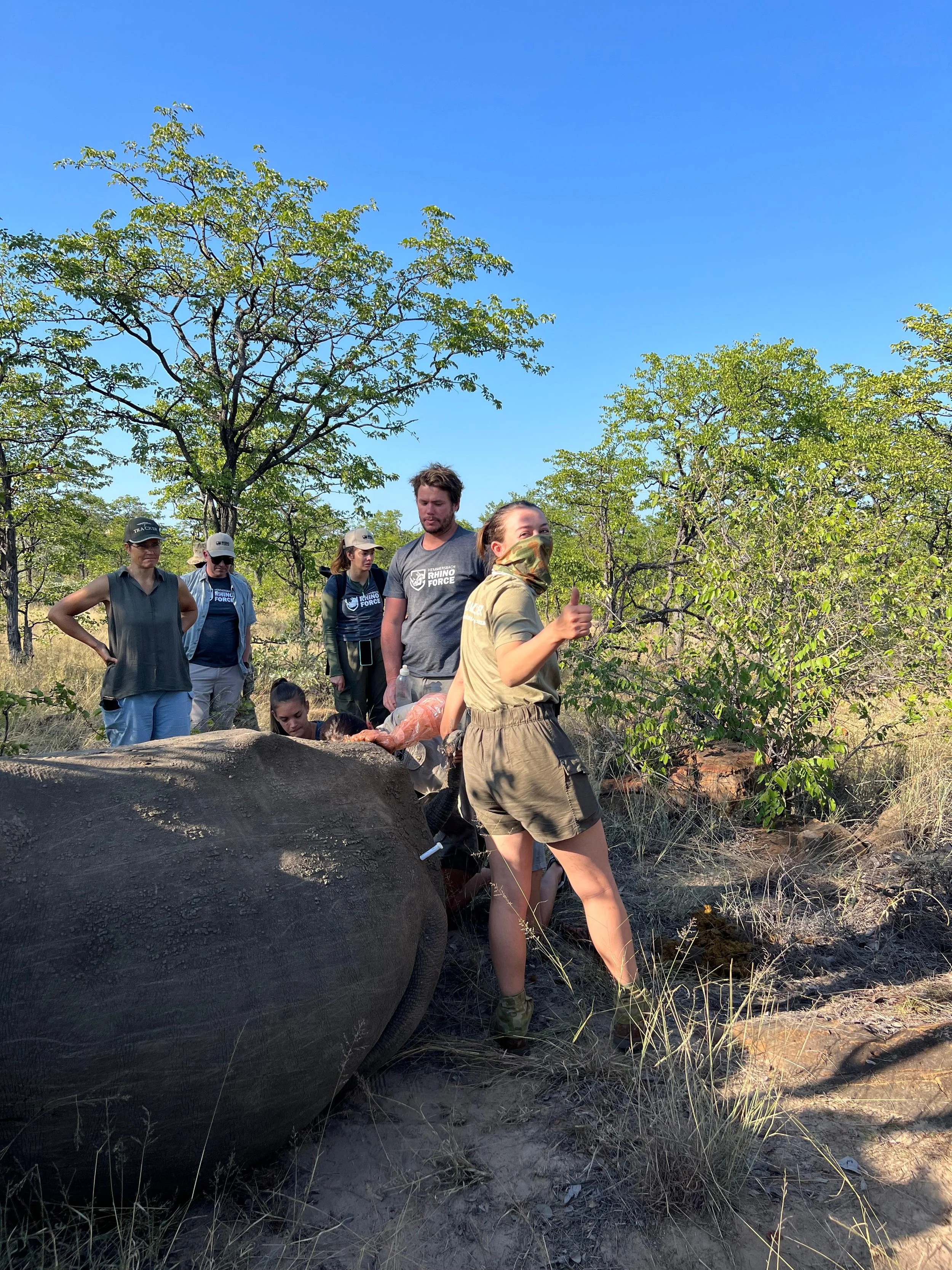 White Rhino Cryo Collection Volunteer