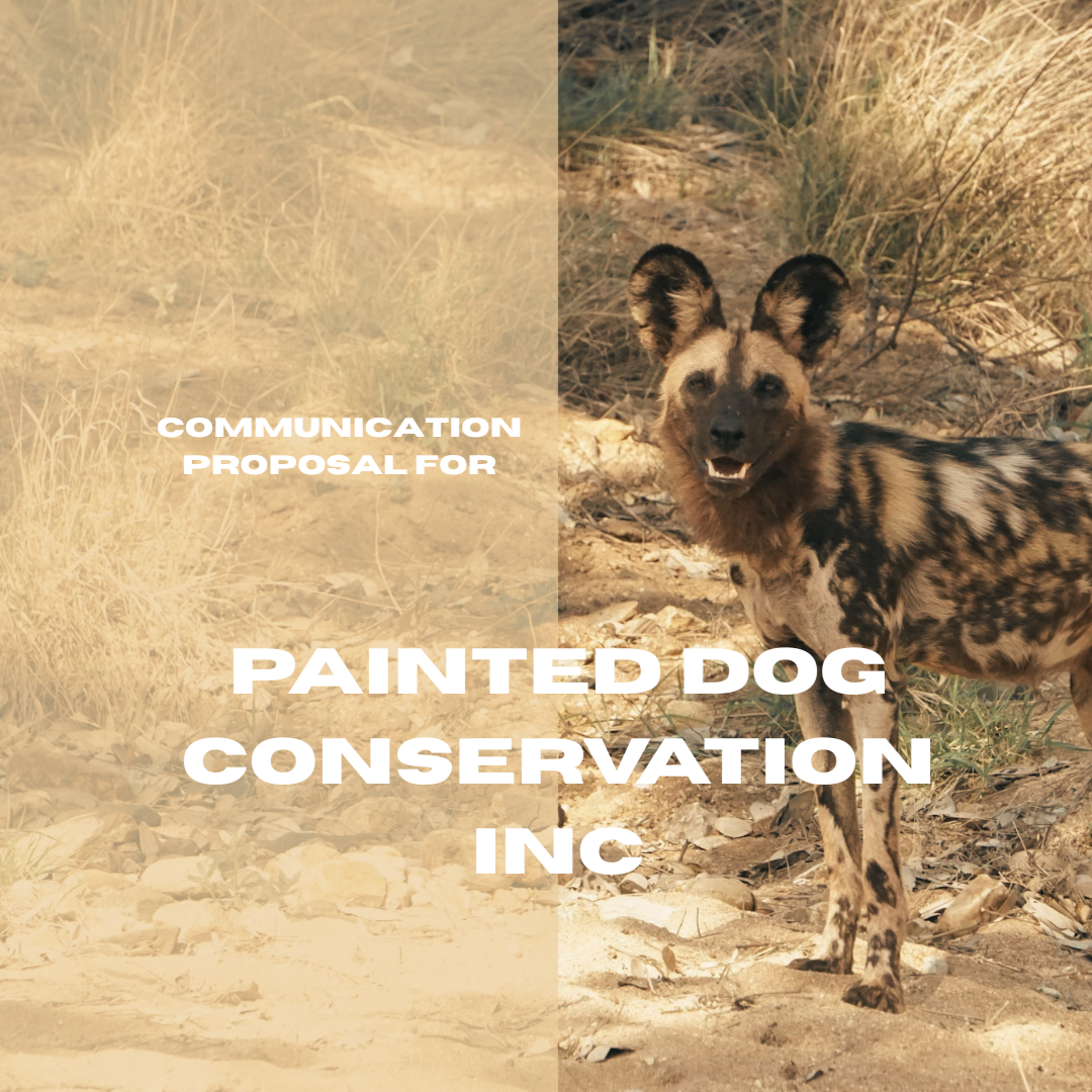 NGO Communications Revitalisation Plan