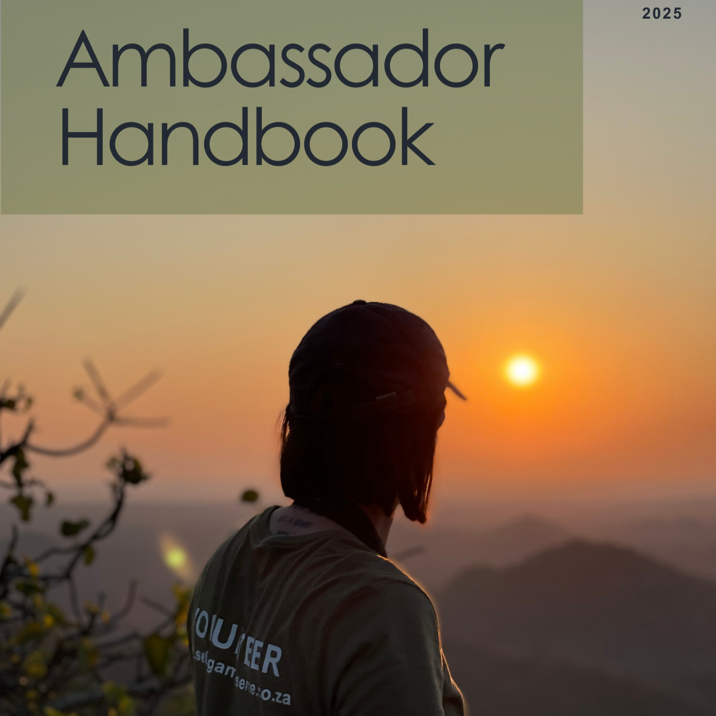 Ambassador Campaign