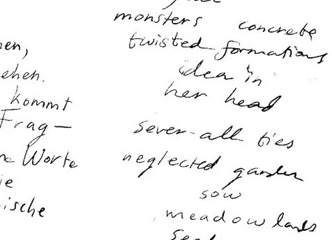 publications &amp; written works