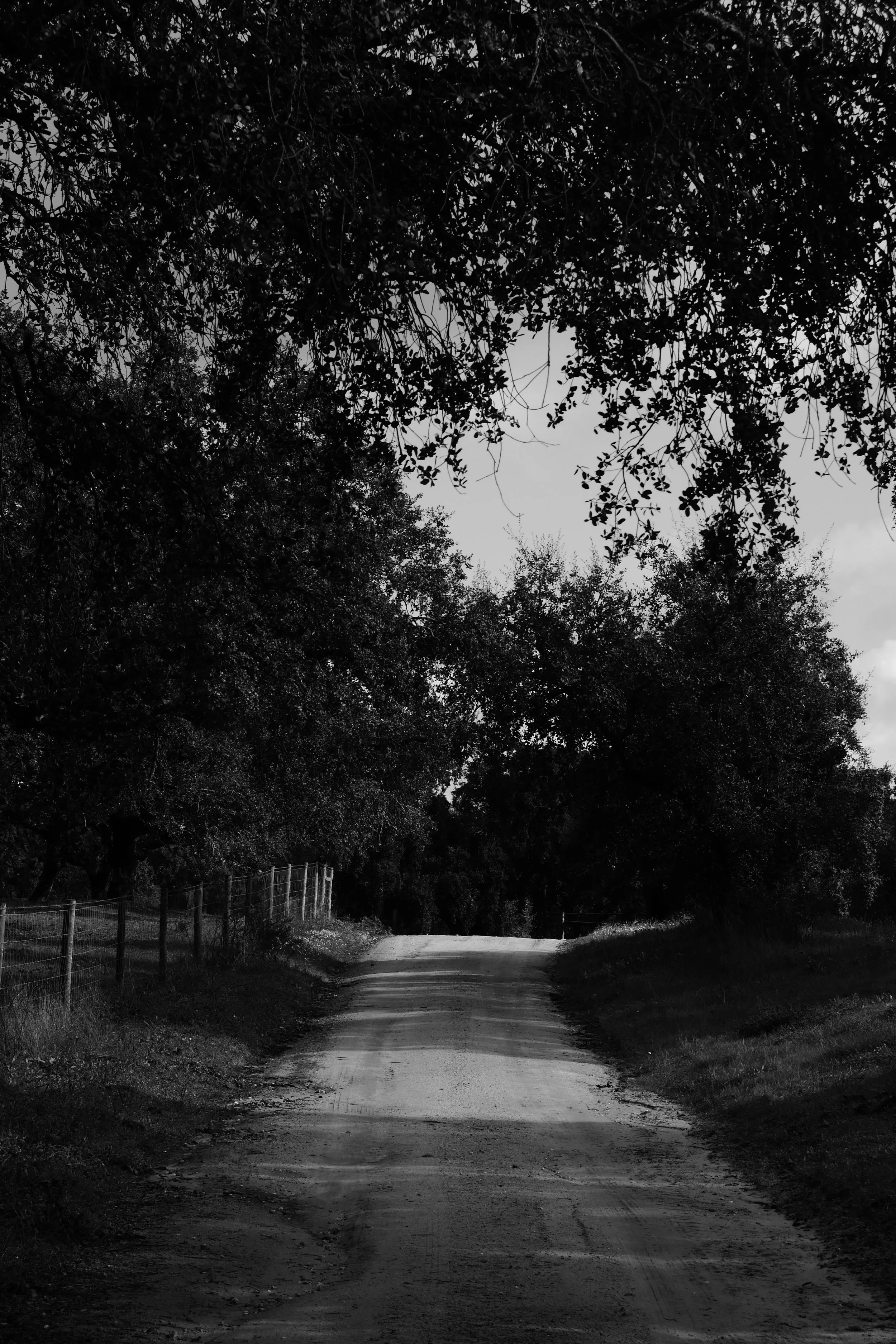 Countryside January 2025