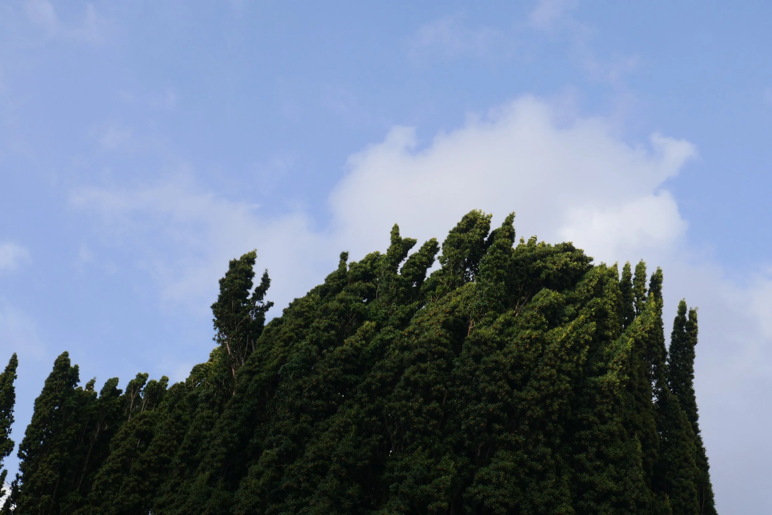 Wind April 2022
