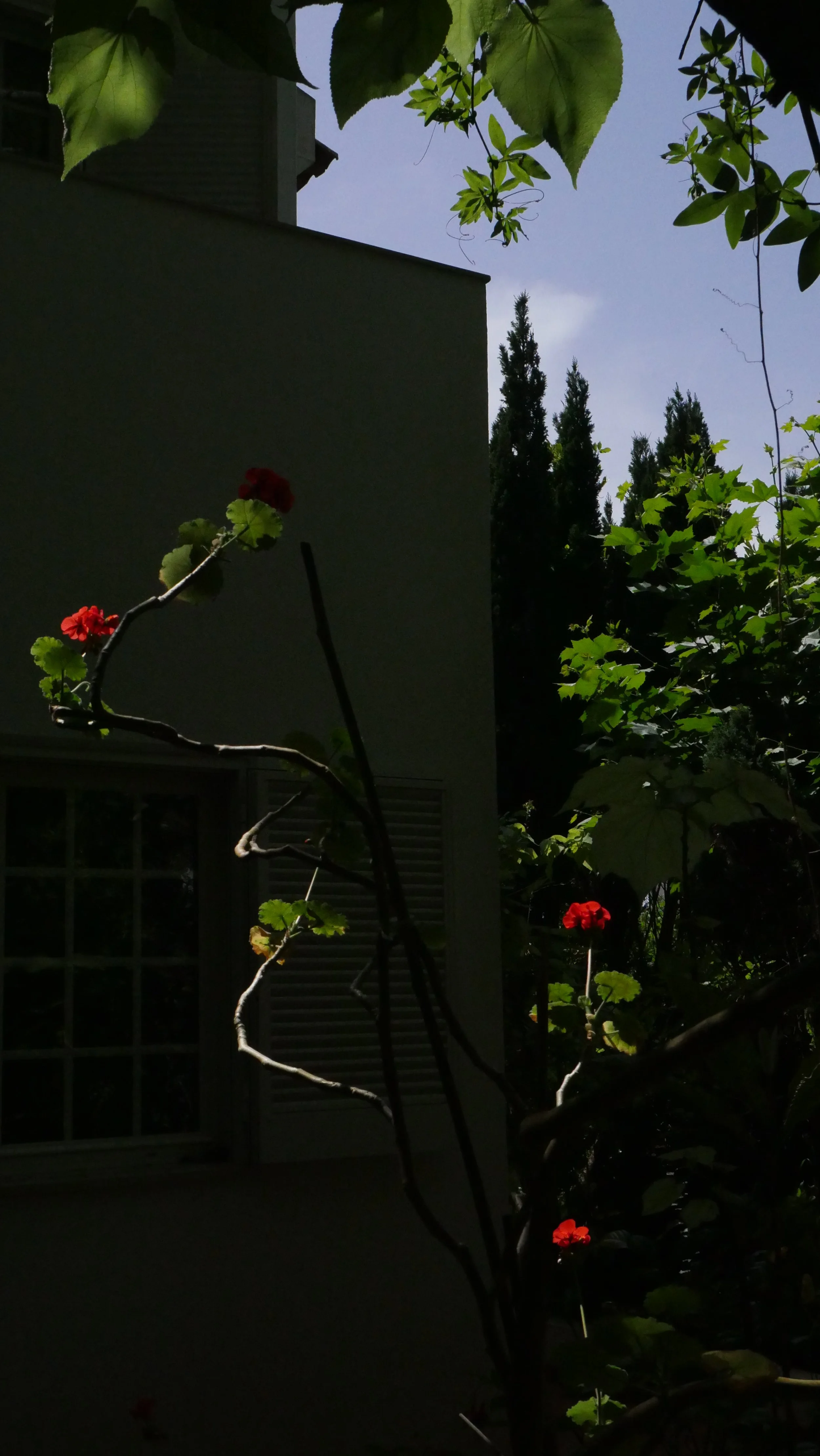 Green June 2025
