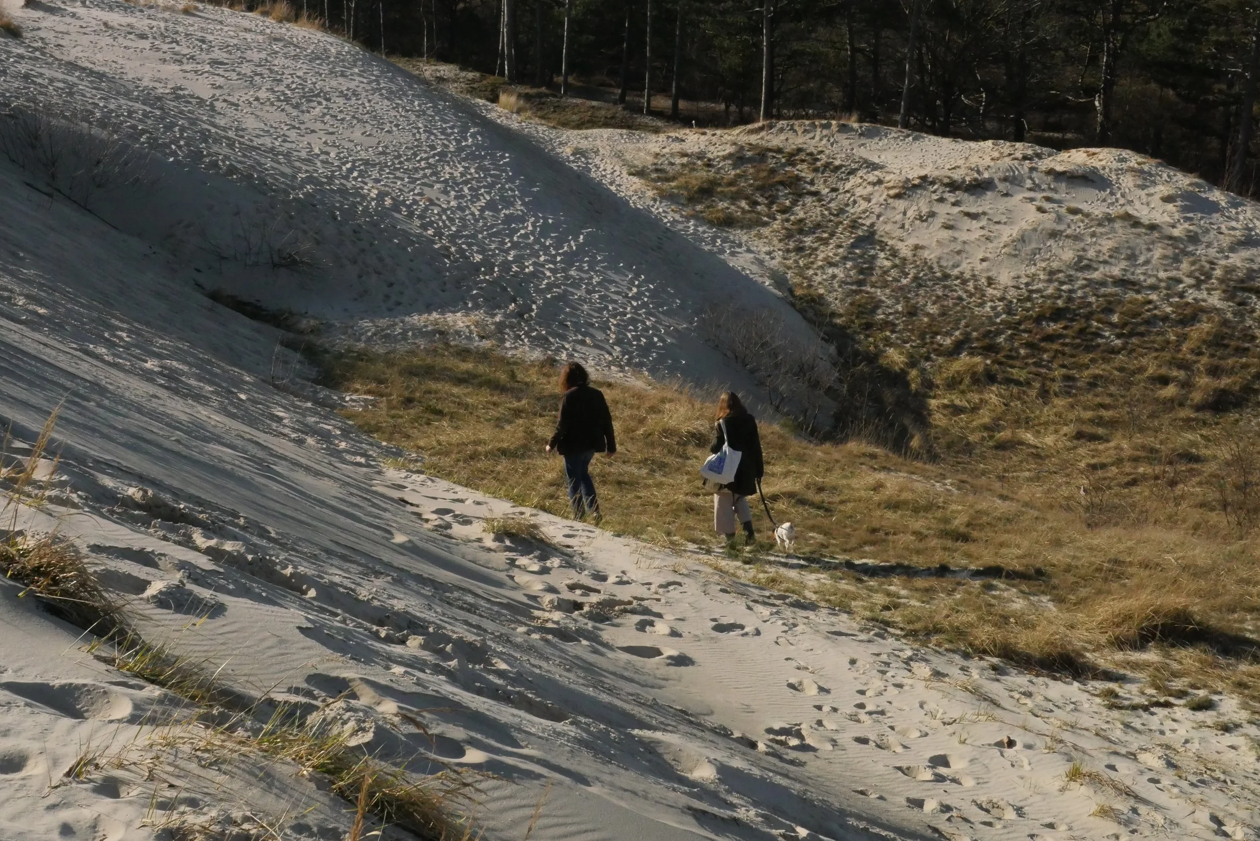 Dunes February 2021