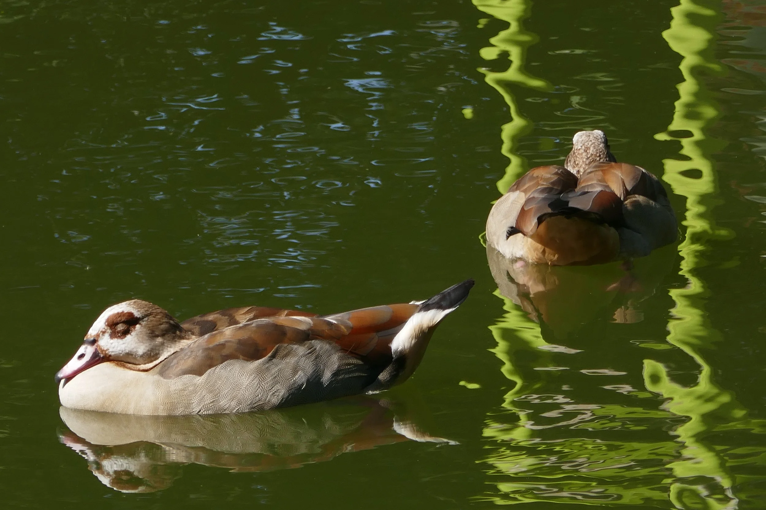 At the Canals June 2019