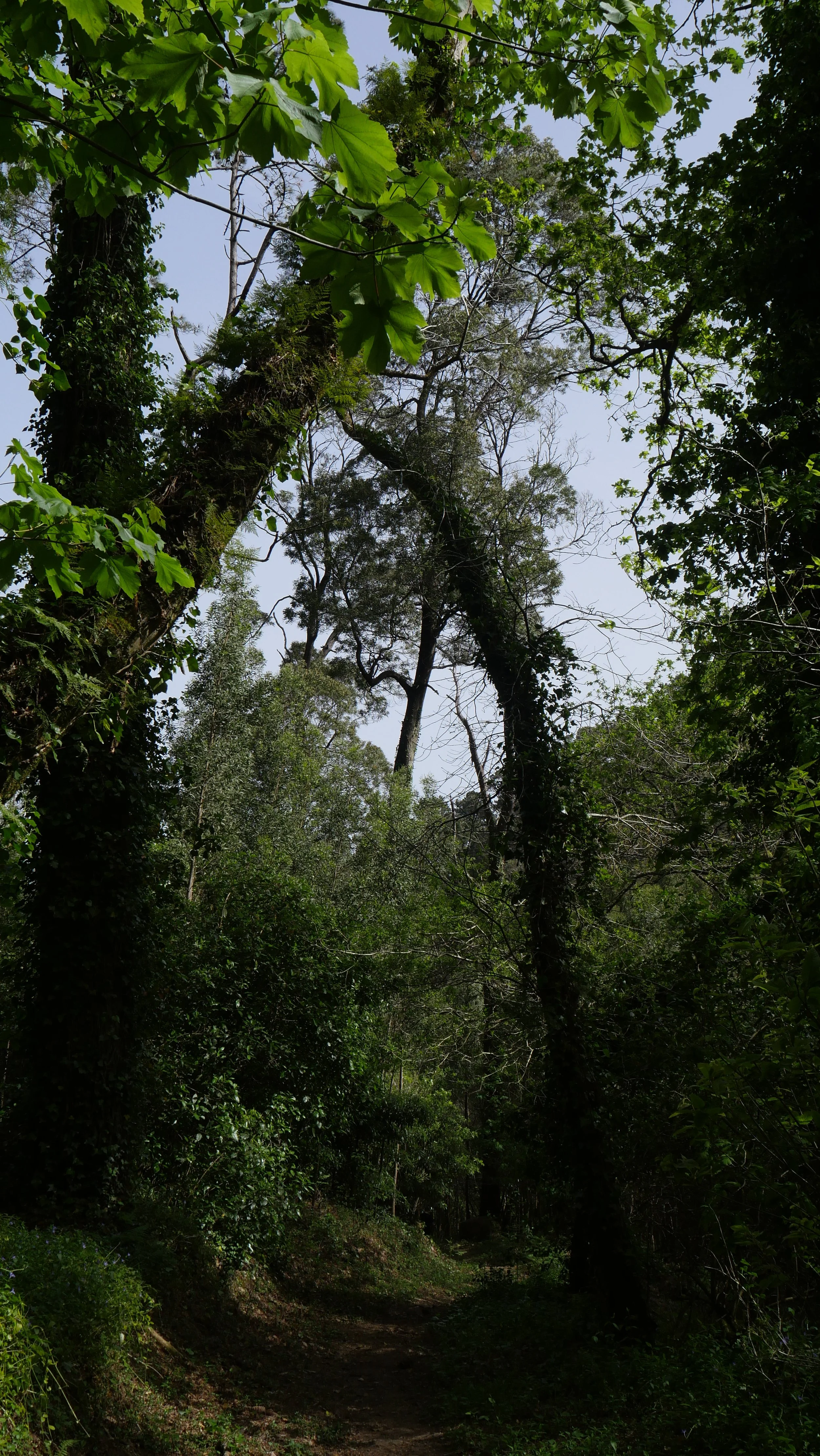 Branches April 2023