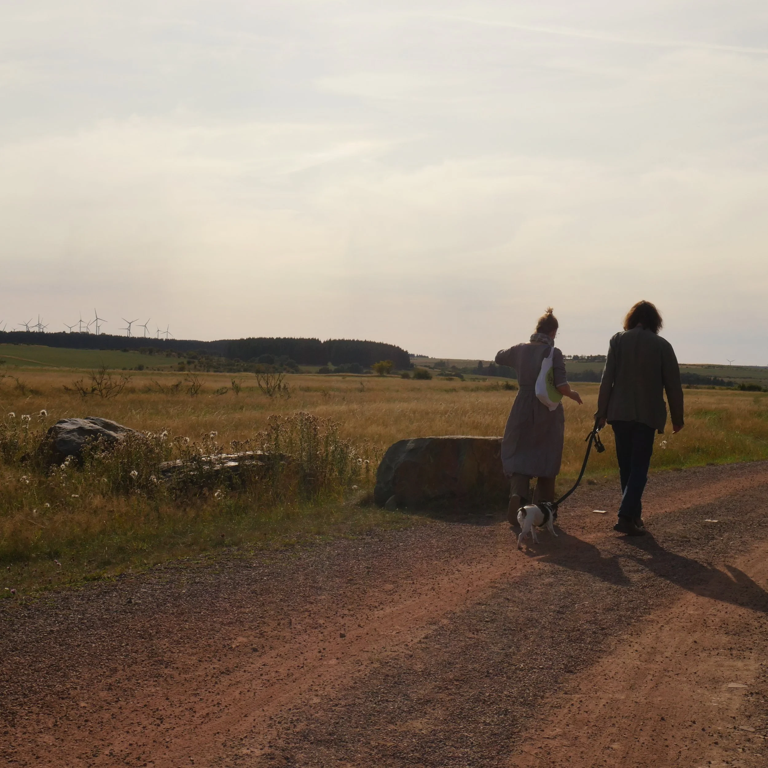 Forest September 2020