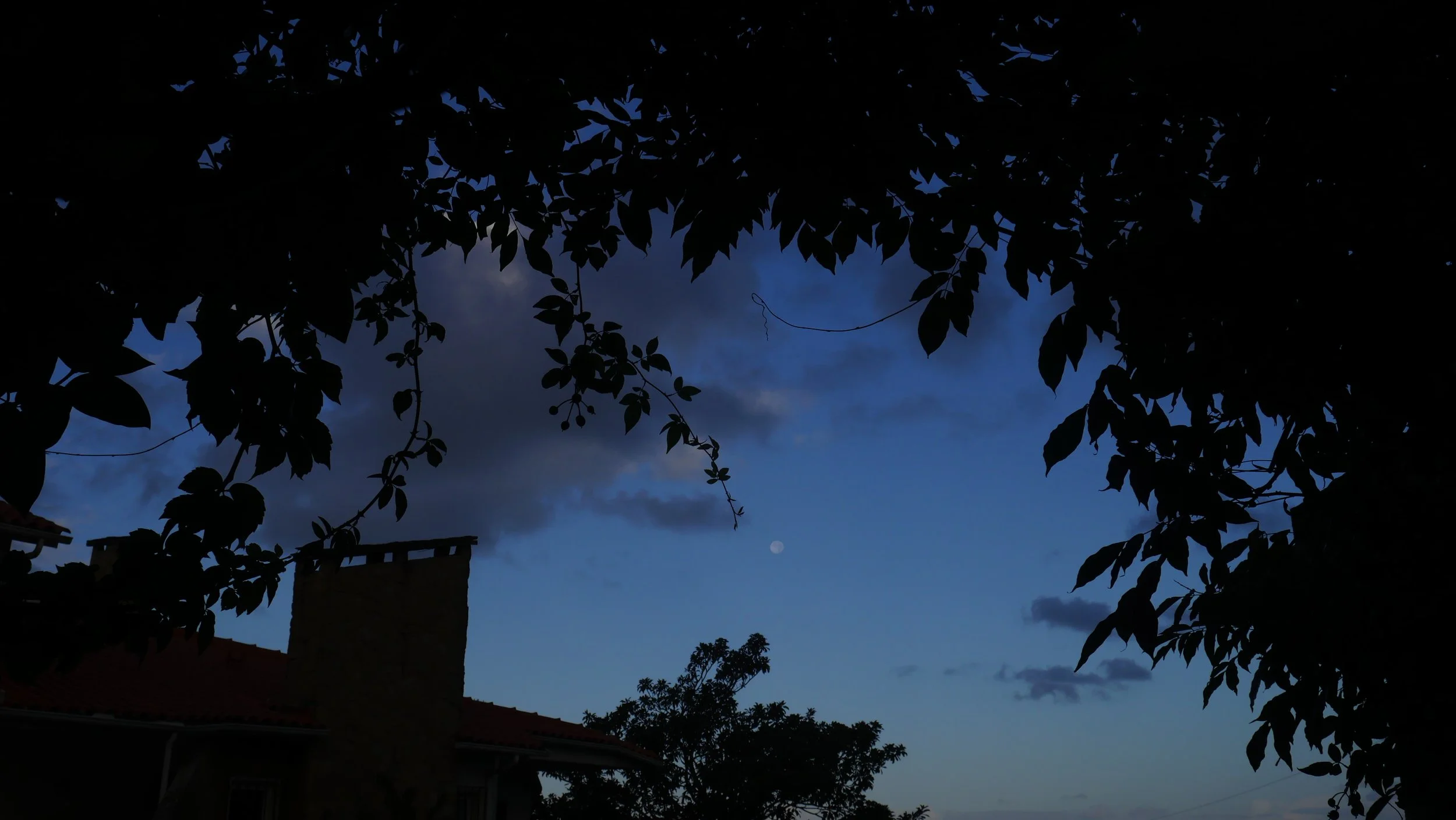 Dusk October 2023