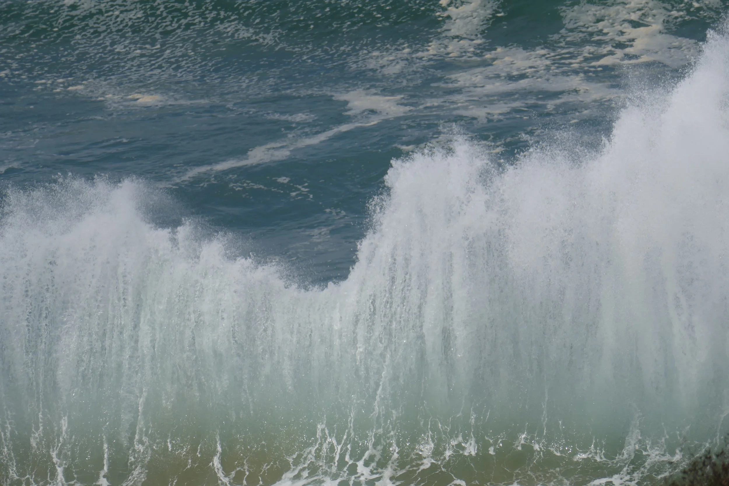 High waves and creatures April 2018