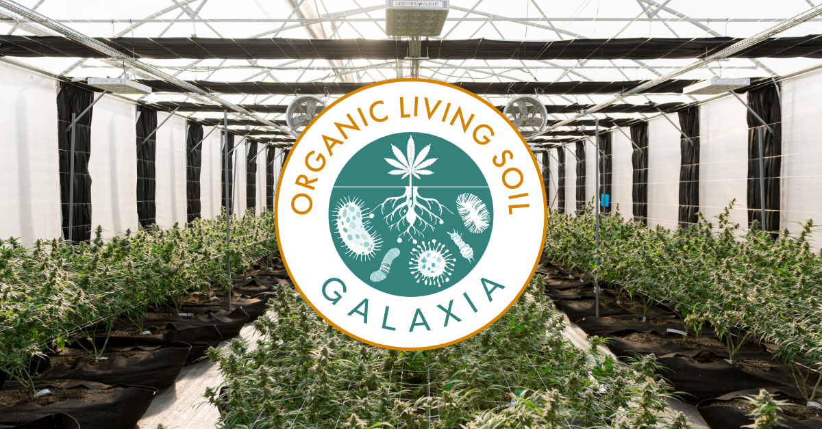 Setting the New Standard: The Launch of Galaxia Organic Living Soil in Germany