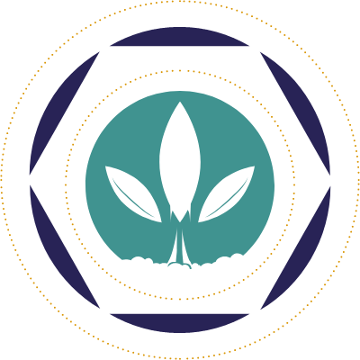 A stylized emblem with a central leaf looking like a rocket design surrounded by circular geometric patterns in dark blue and teal colours.