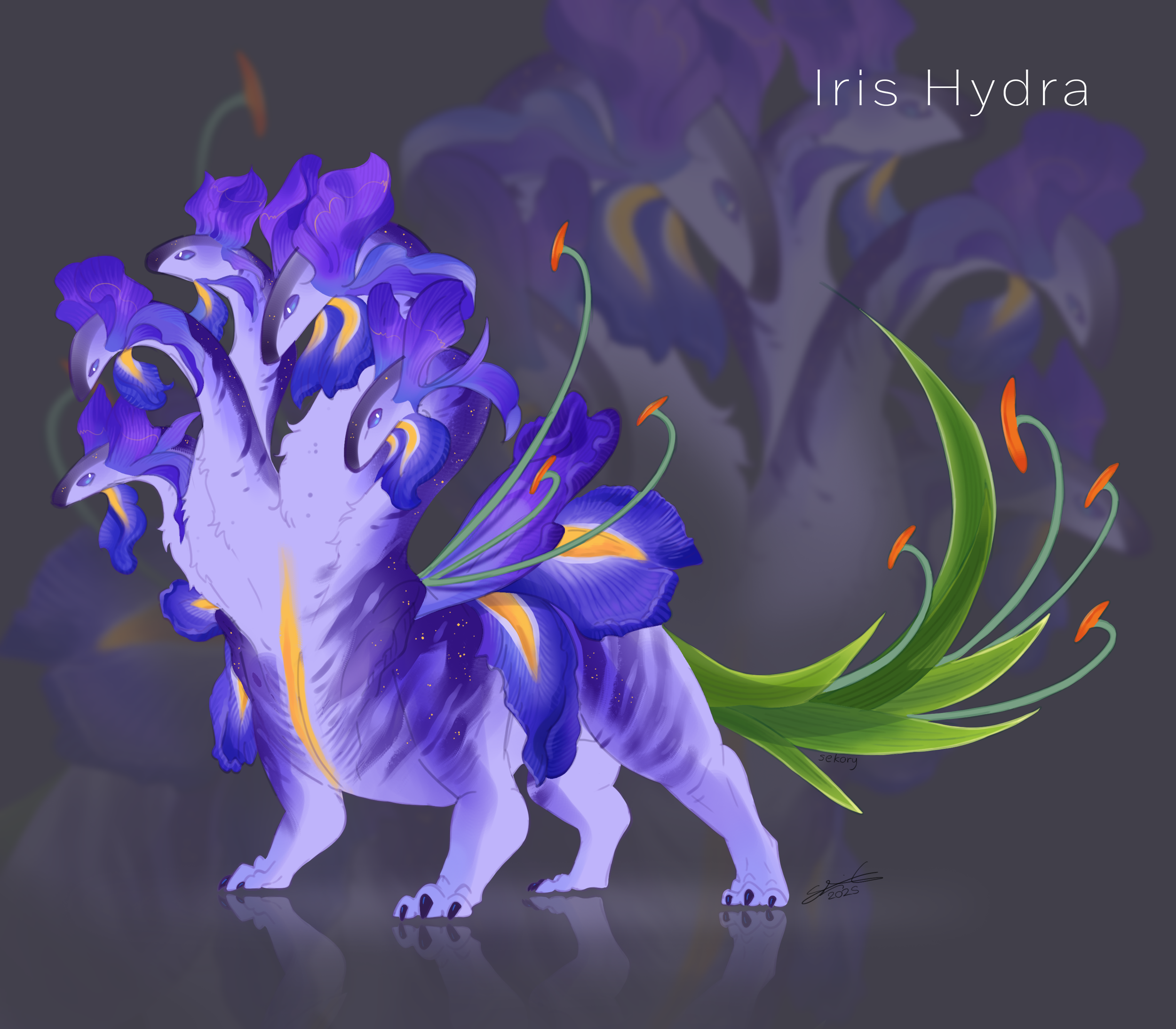 hydra raffle design.png
