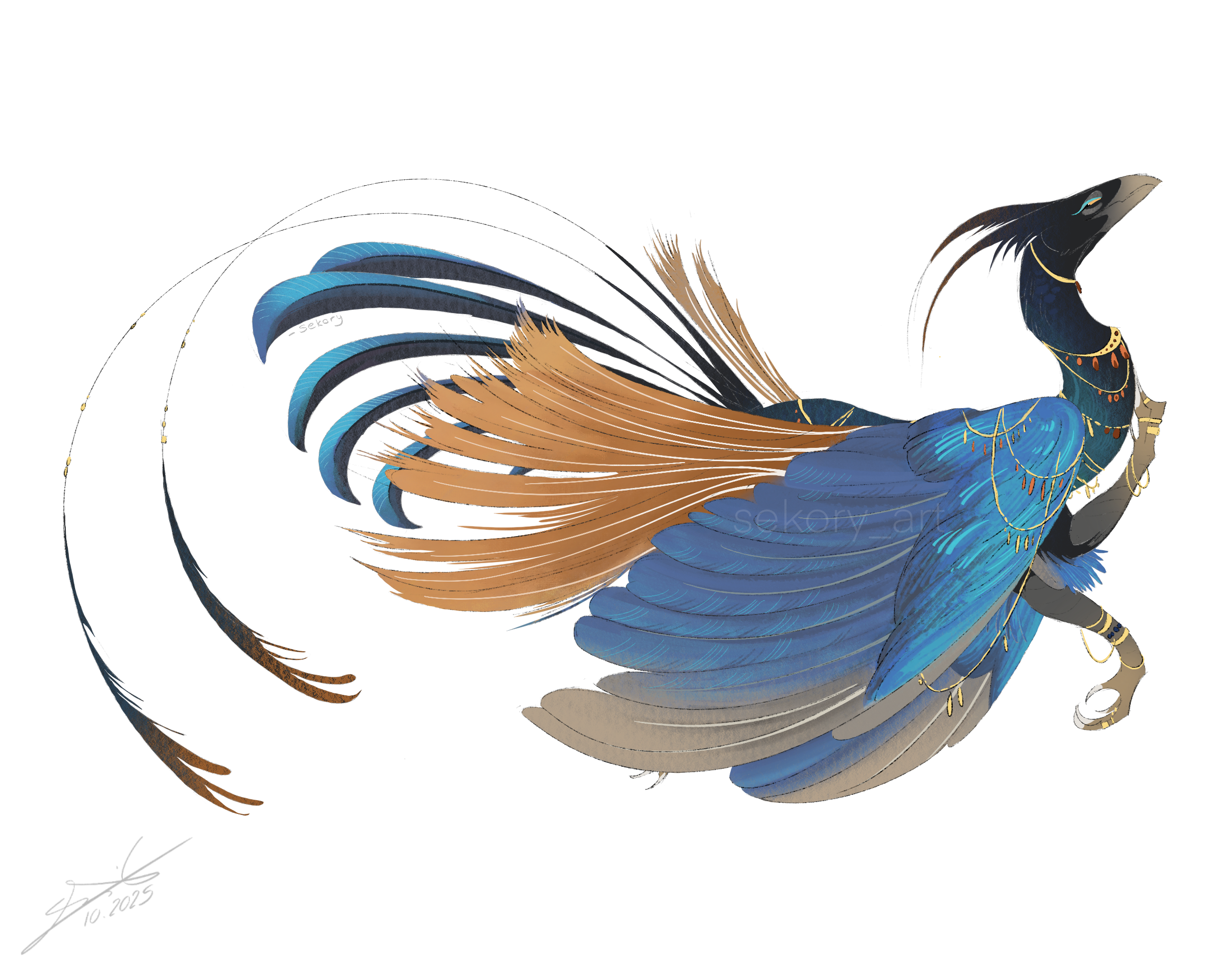 caelius wings wata.png