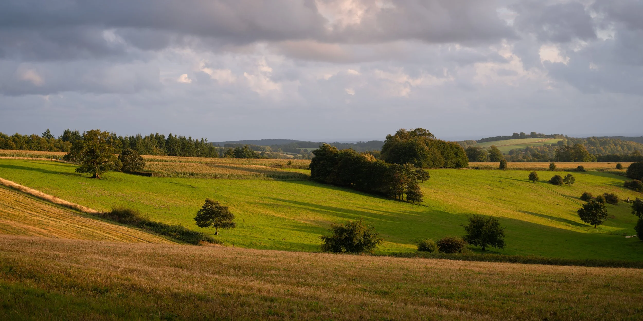 Hampshire Landscape