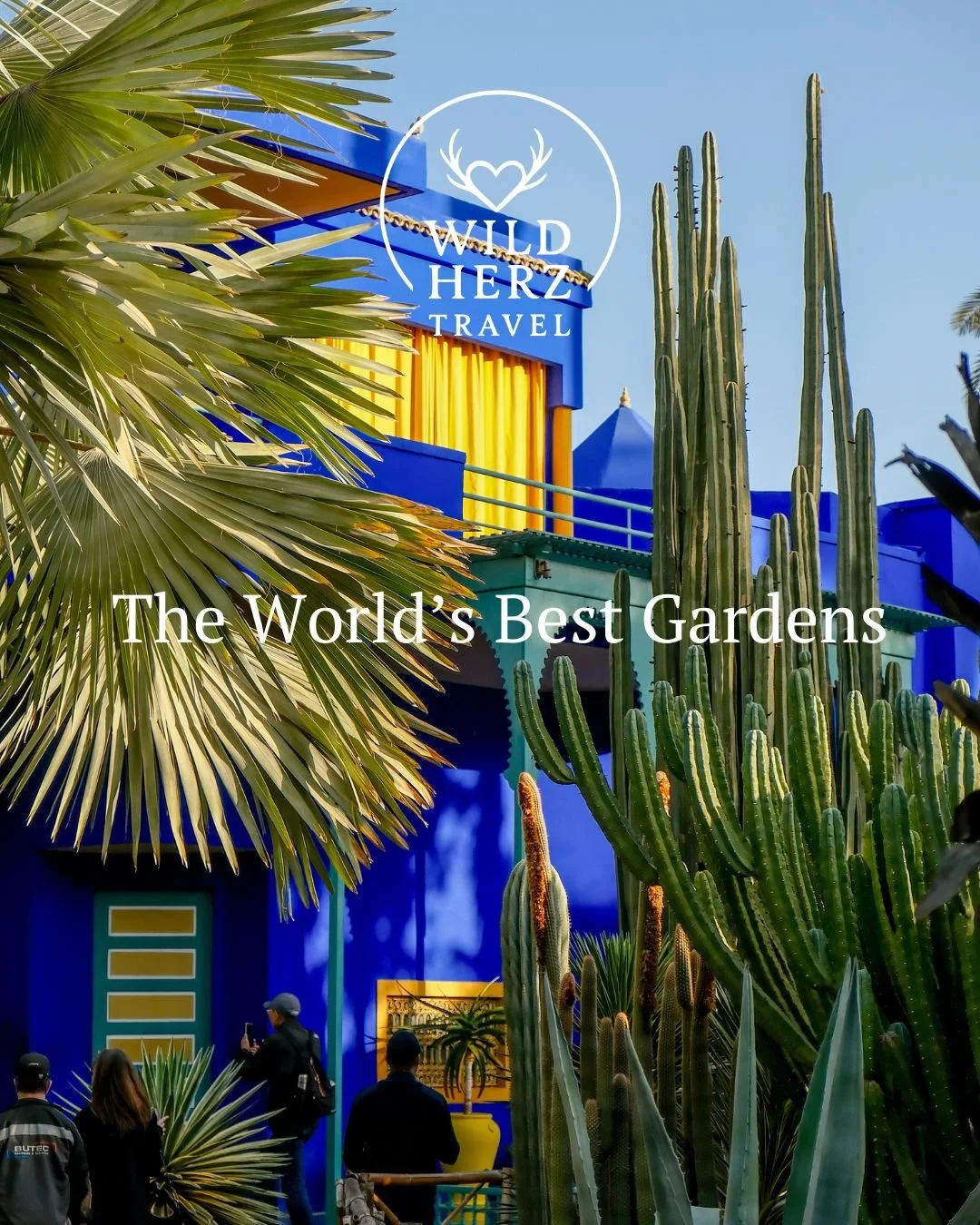 The World's Best Gardens