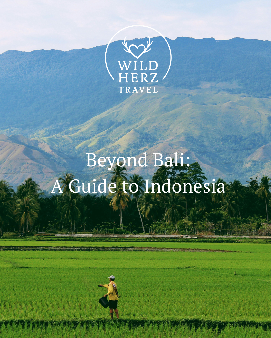 Beyond Bali; A Guide to Indonesia
