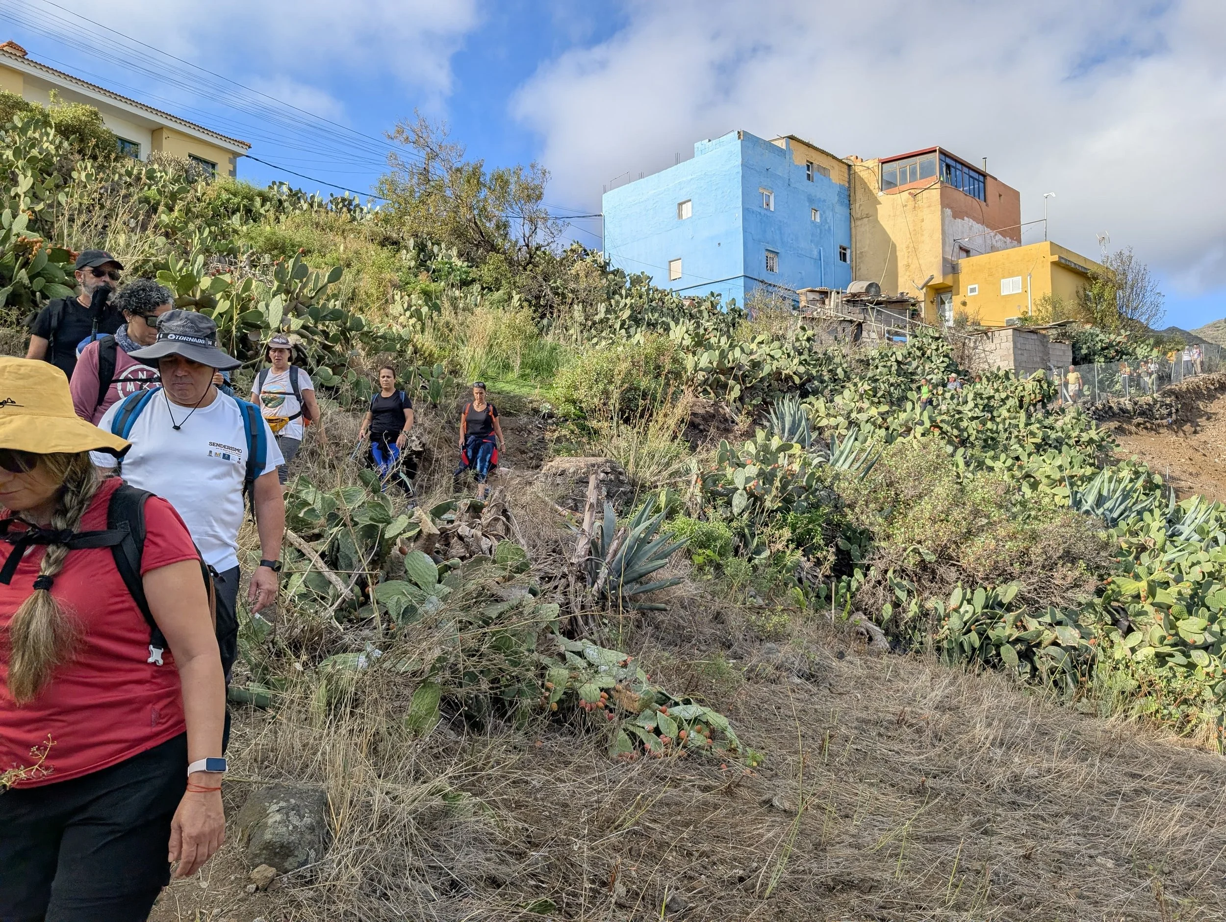 WhatsApp Image 2025-11-01 at 19.28.54.jpeg