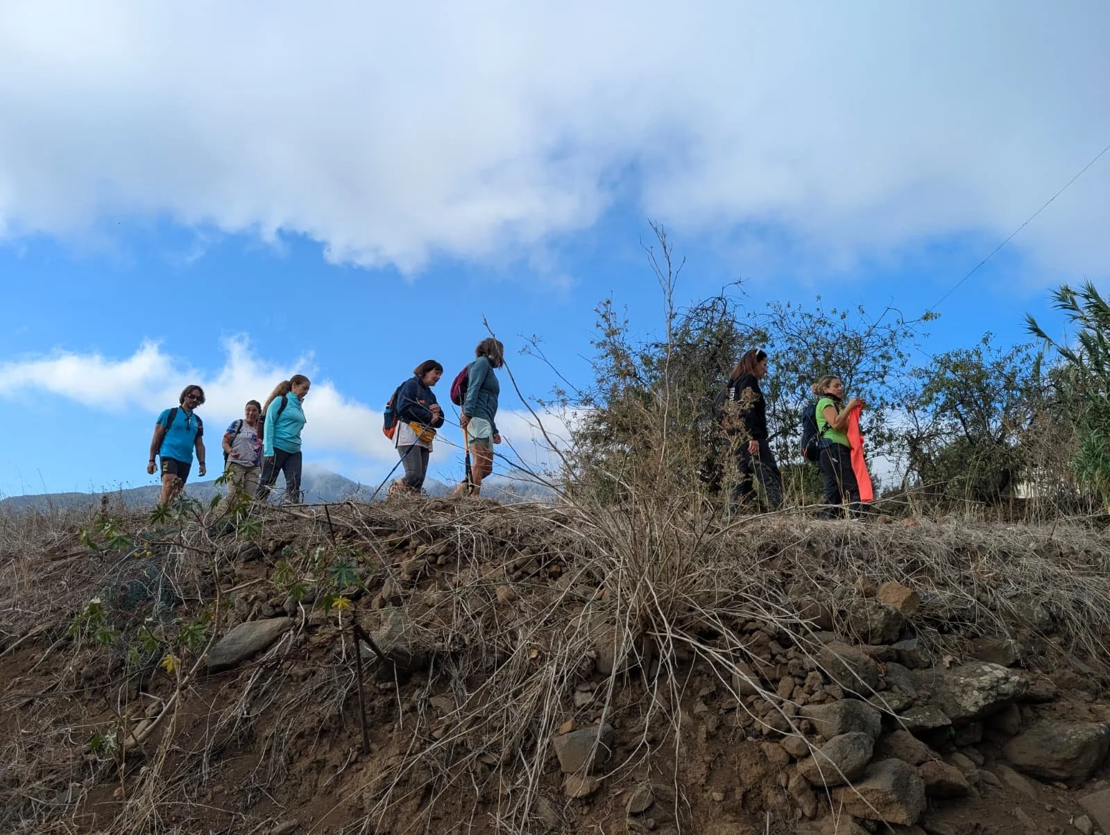 WhatsApp Image 2025-11-01 at 19.28.55.jpeg