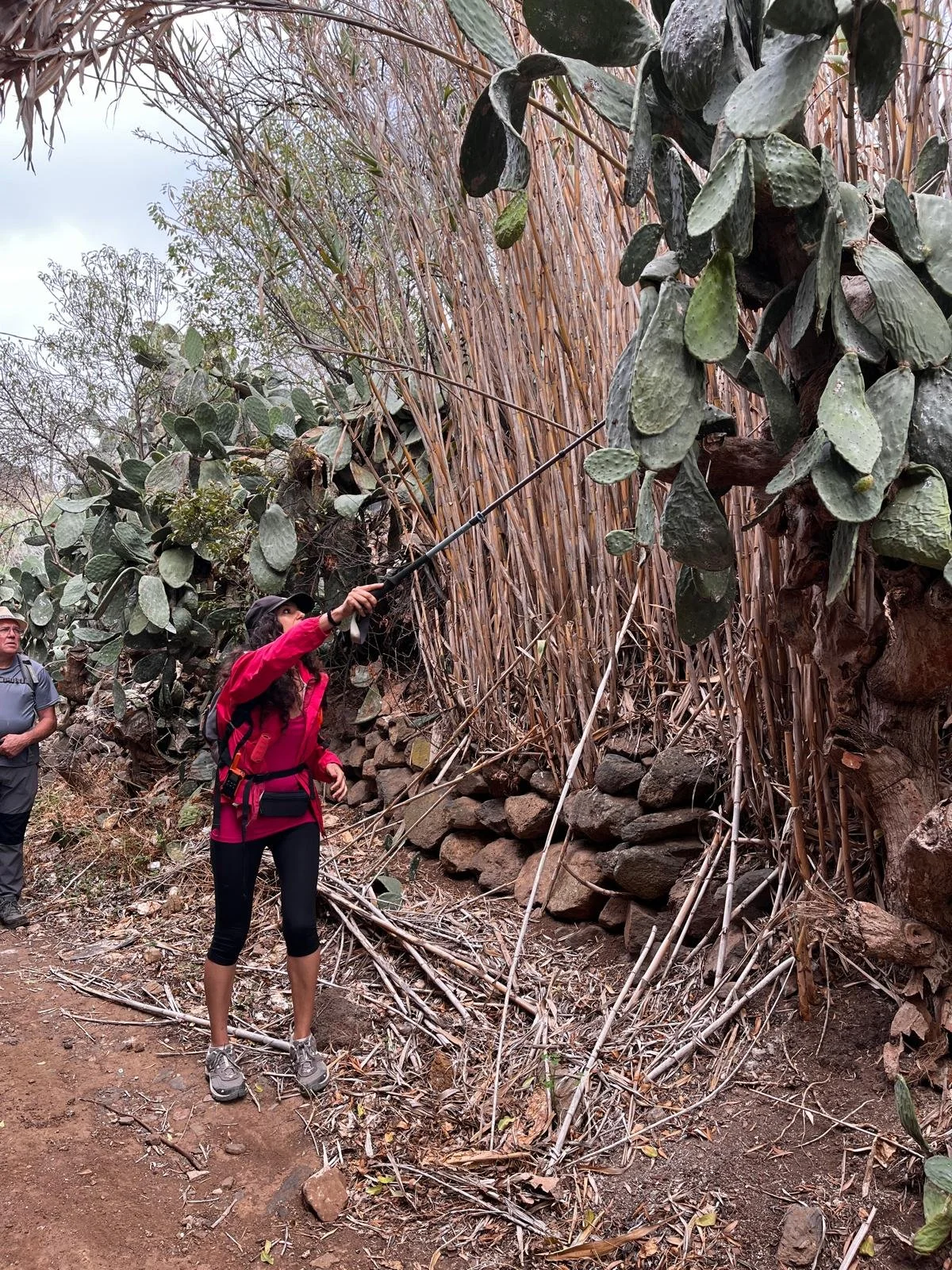 WhatsApp Image 2025-11-01 at 22.20.01.jpeg