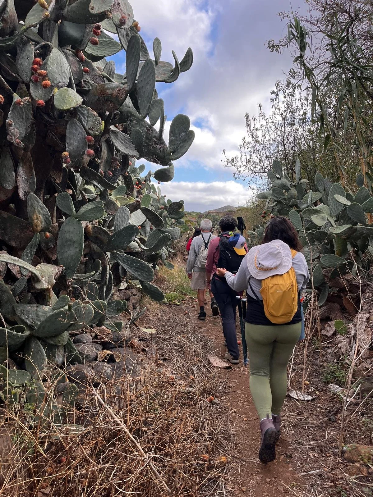 WhatsApp Image 2025-11-01 at 22.20.02.jpeg