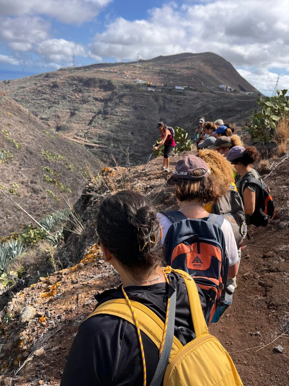 WhatsApp Image 2025-11-01 at 22.20.03.jpeg