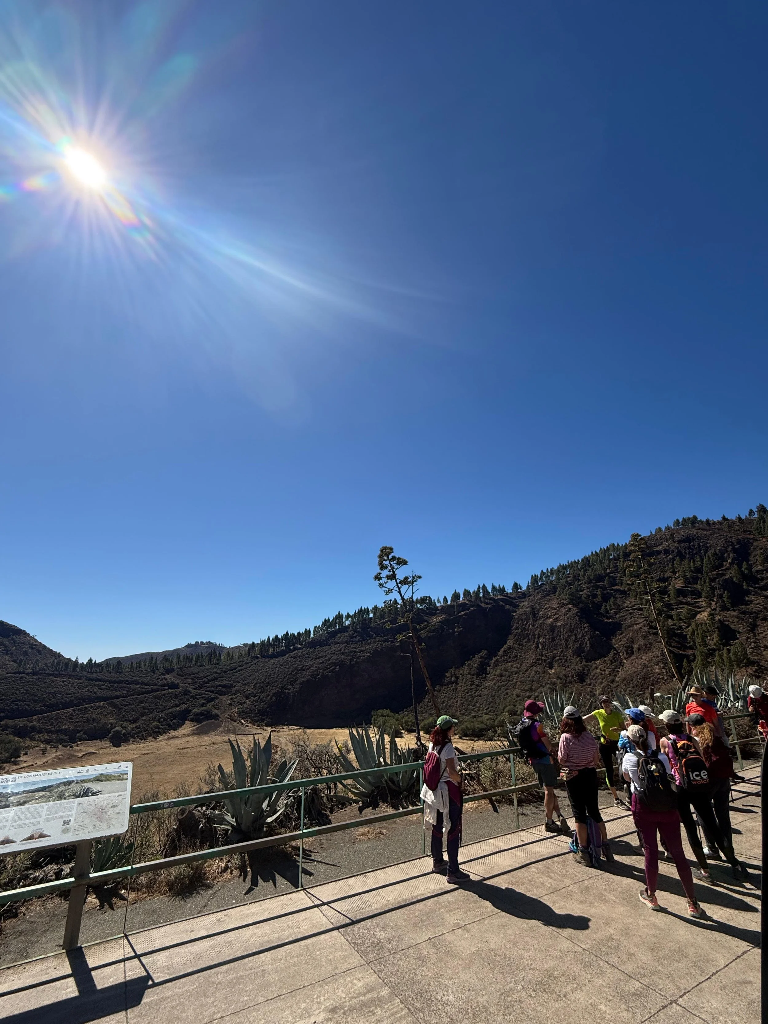 WhatsApp Image 2025-10-25 at 13.06.37.jpeg