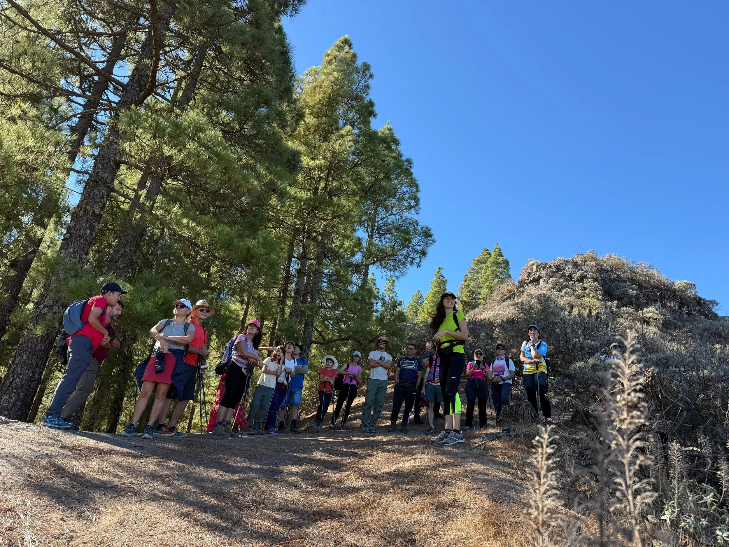 WhatsApp Image 2025-10-25 at 13.06.38 (1).jpeg