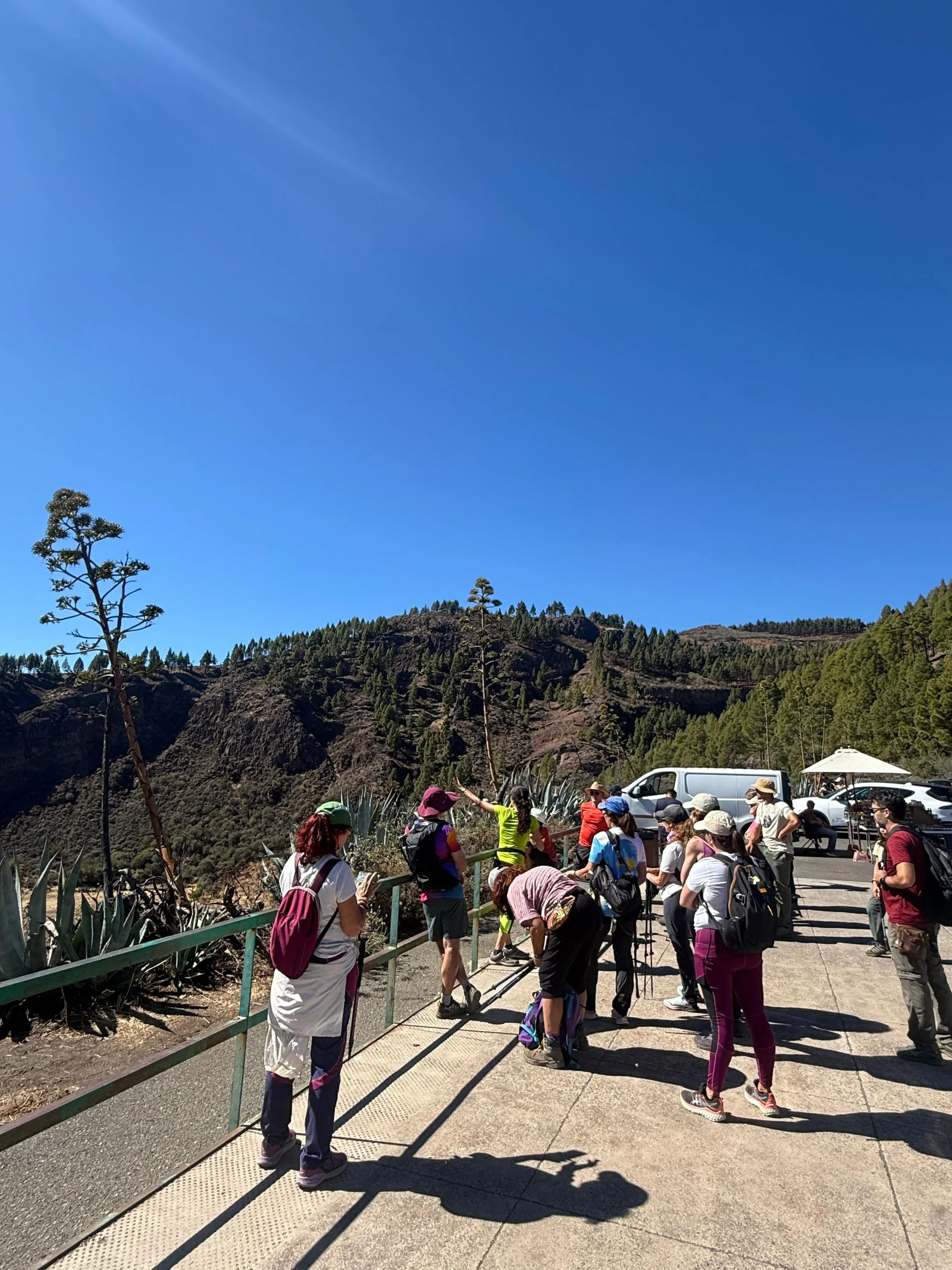 WhatsApp Image 2025-10-25 at 13.06.38.jpeg