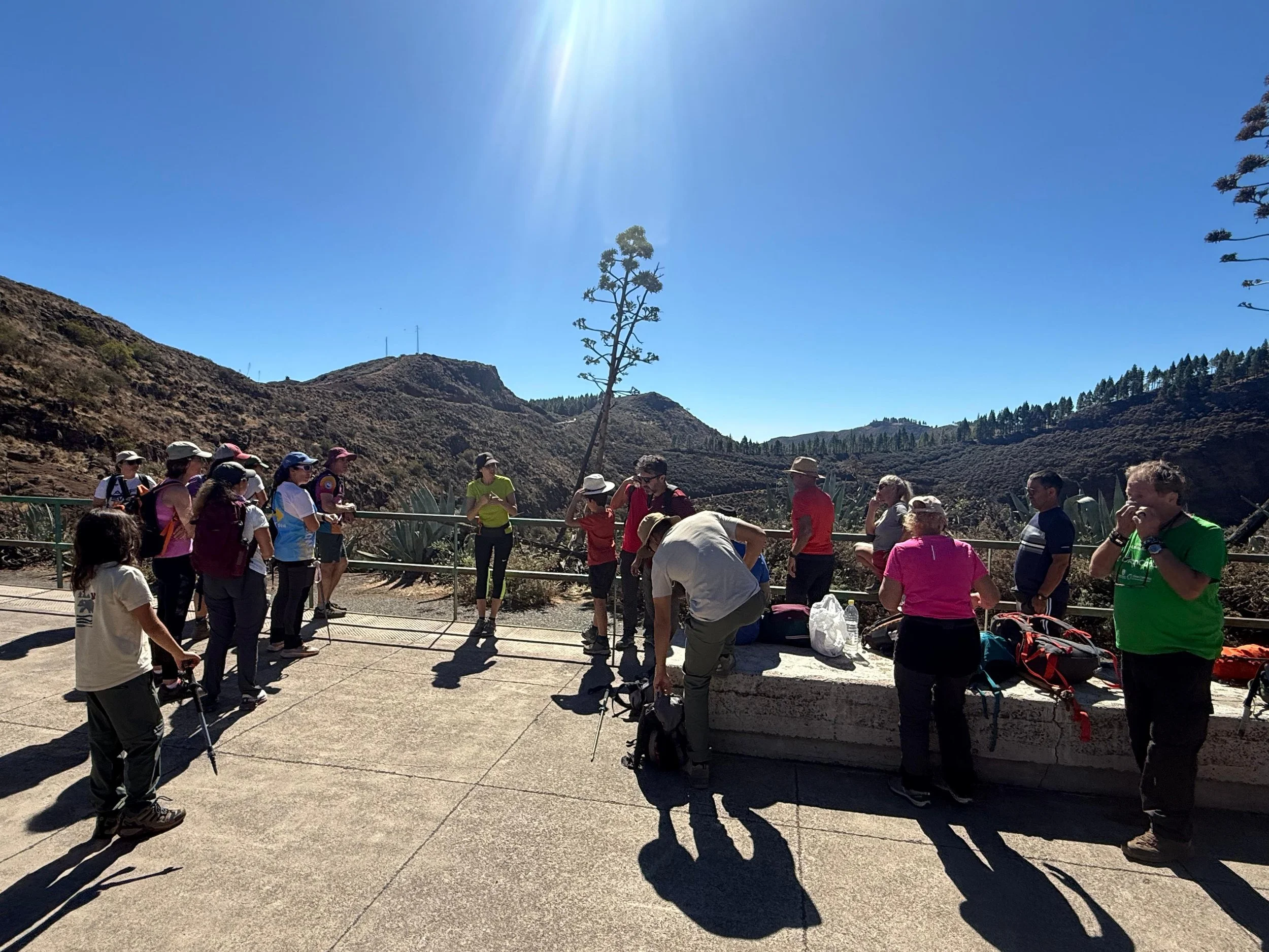 WhatsApp Image 2025-10-25 at 13.06.39 (3).jpeg