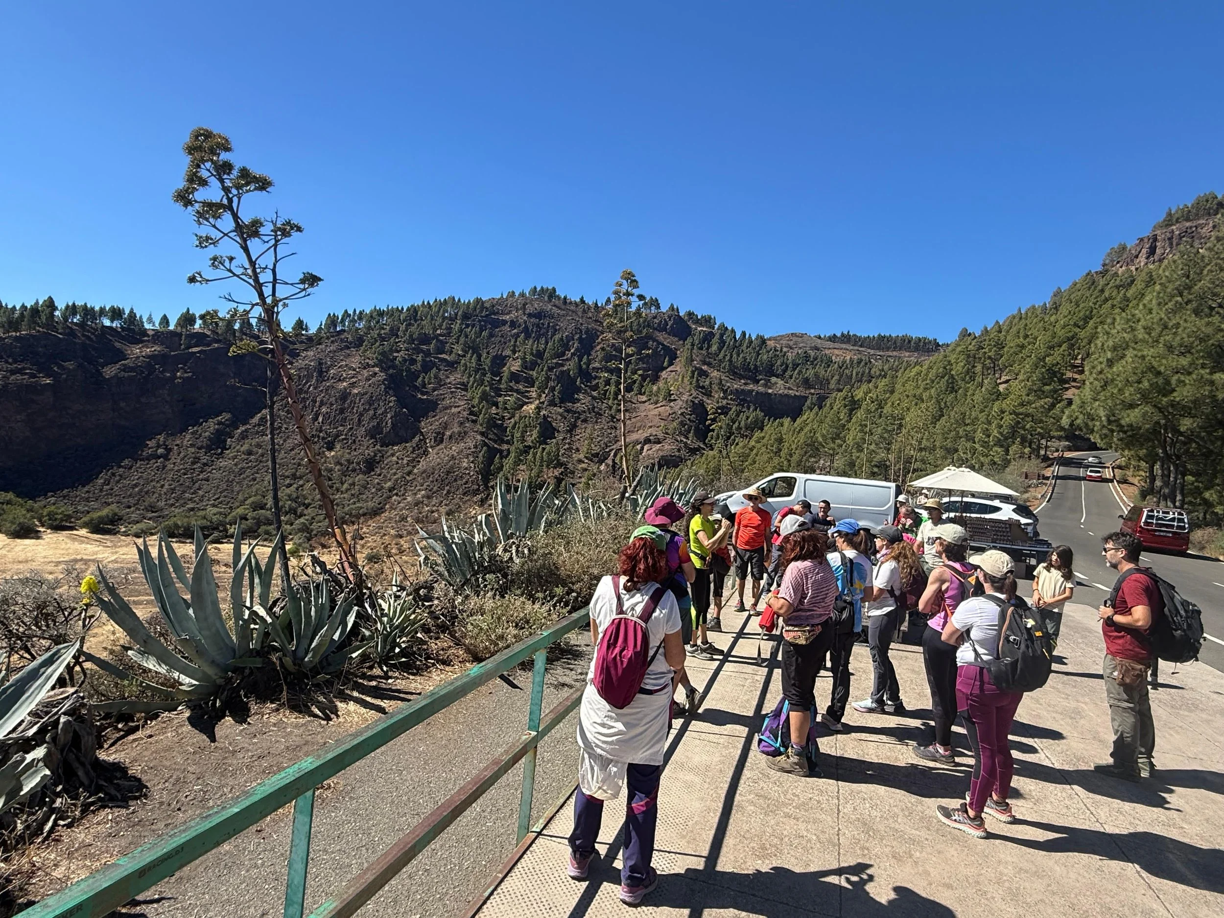 WhatsApp Image 2025-10-25 at 13.06.40.jpeg