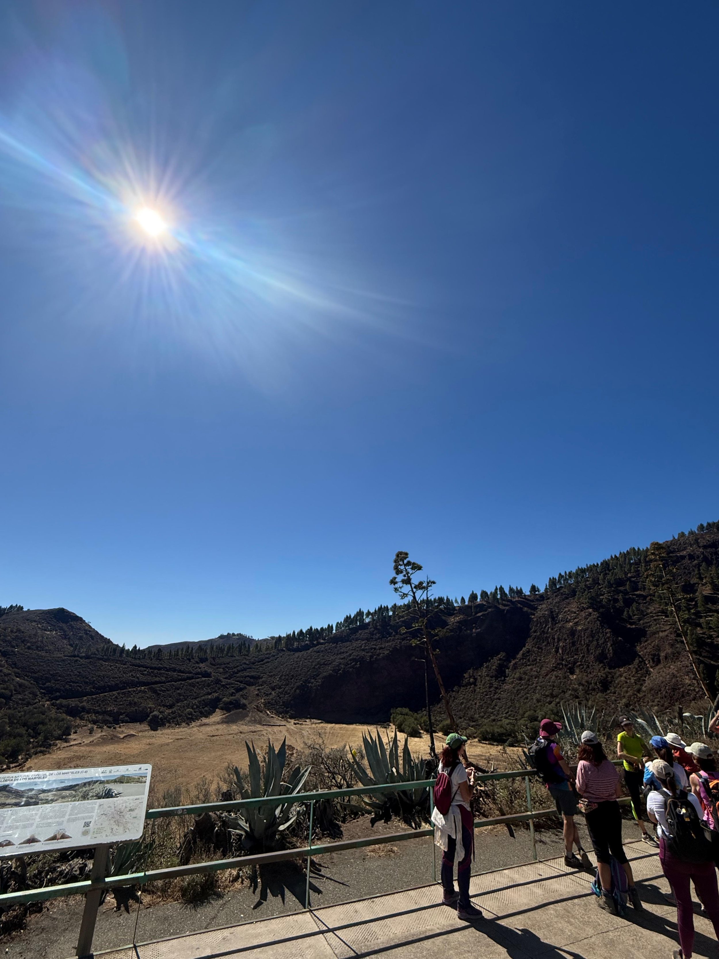 WhatsApp Image 2025-10-25 at 13.06.41 (1).jpeg