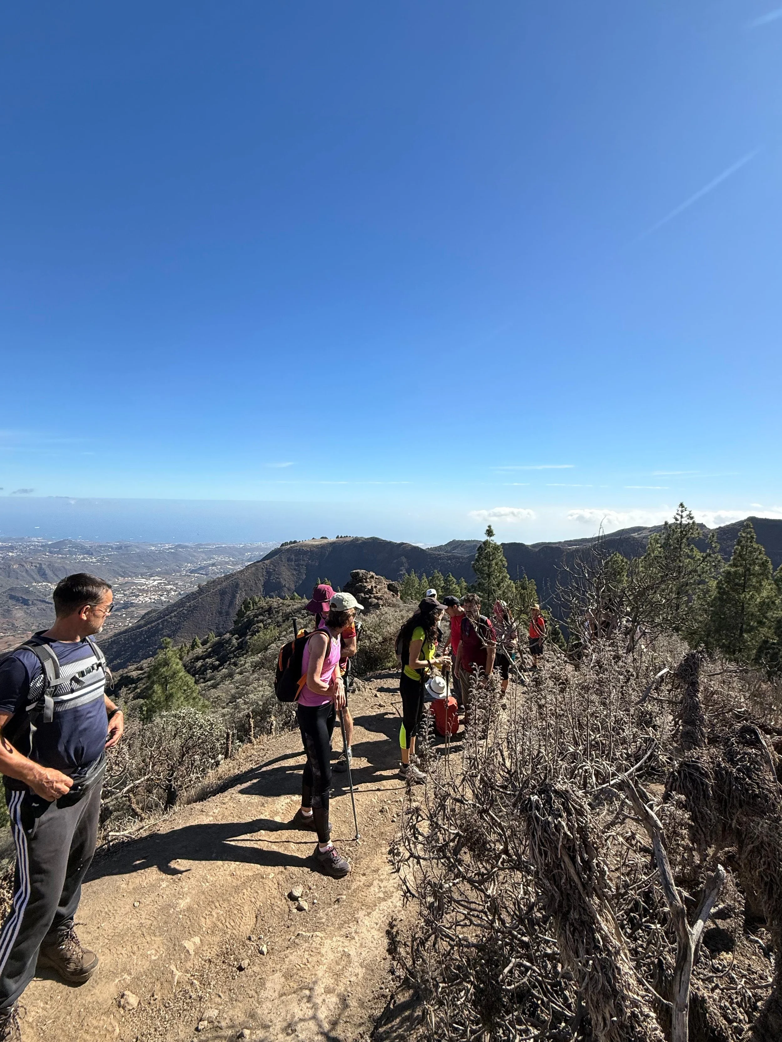 WhatsApp Image 2025-10-25 at 13.06.41.jpeg