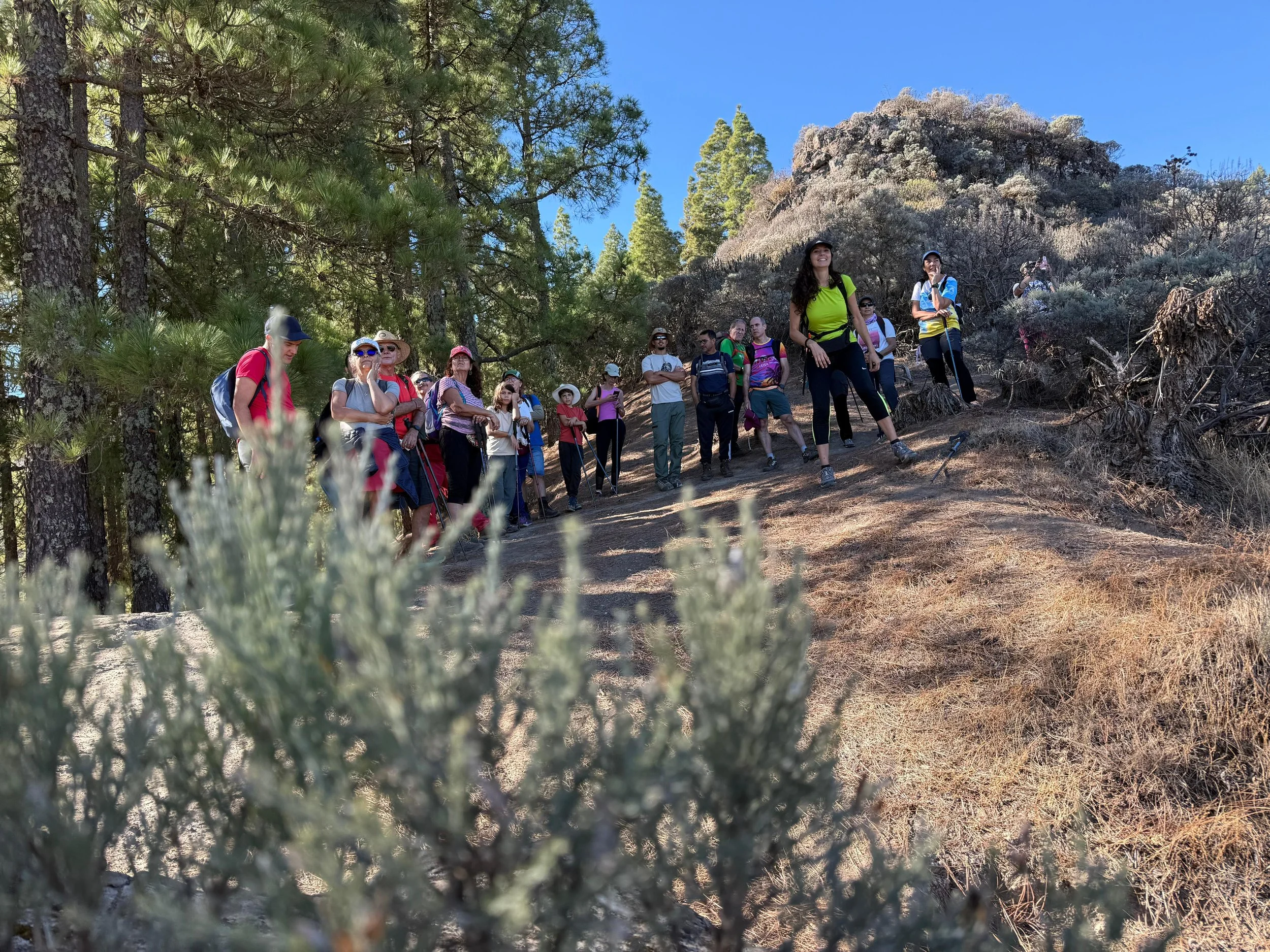 WhatsApp Image 2025-10-25 at 13.06.41 (2).jpeg