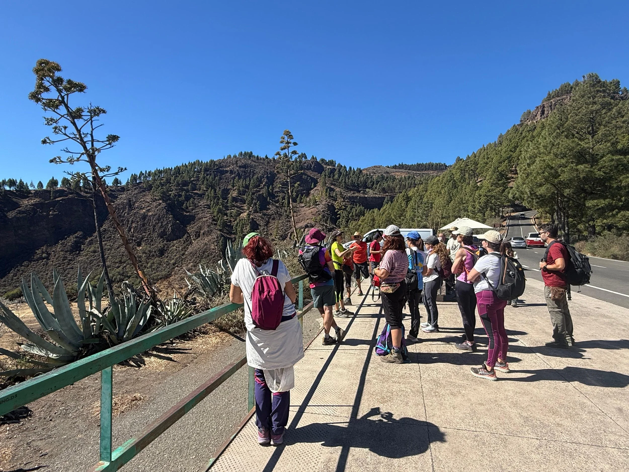 WhatsApp Image 2025-10-25 at 13.06.43 (1).jpeg